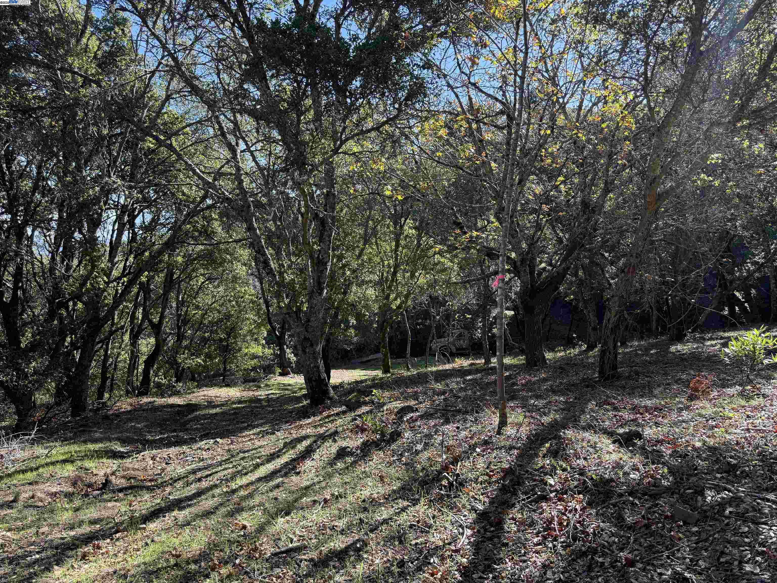 Detail Gallery Image 16 of 40 For 0 Vista Del, Orinda,  CA 94563 - – Beds | – Baths