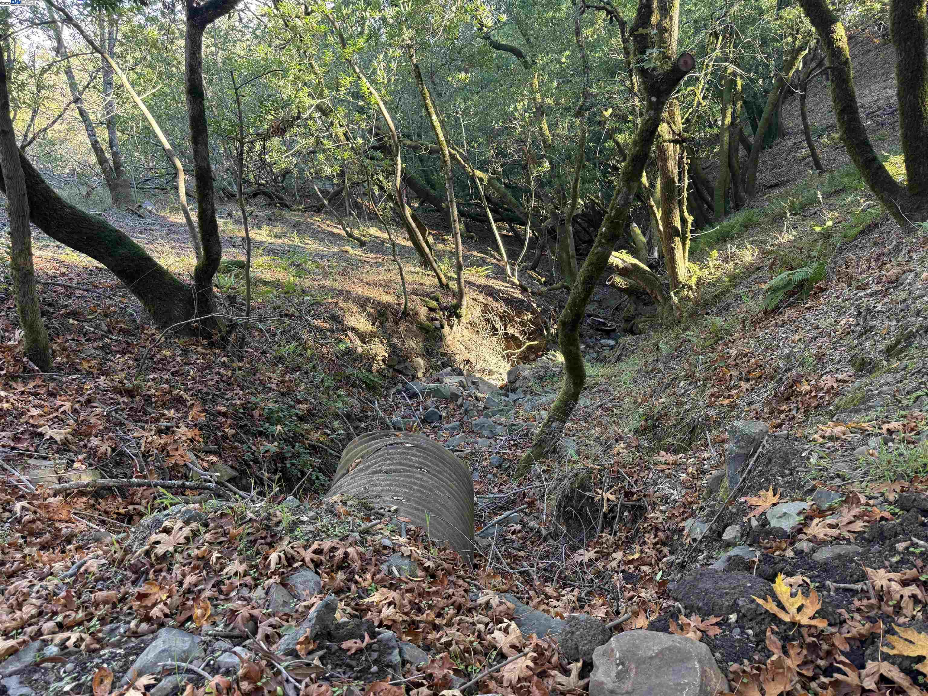 Detail Gallery Image 17 of 40 For 0 Vista Del, Orinda,  CA 94563 - – Beds | – Baths