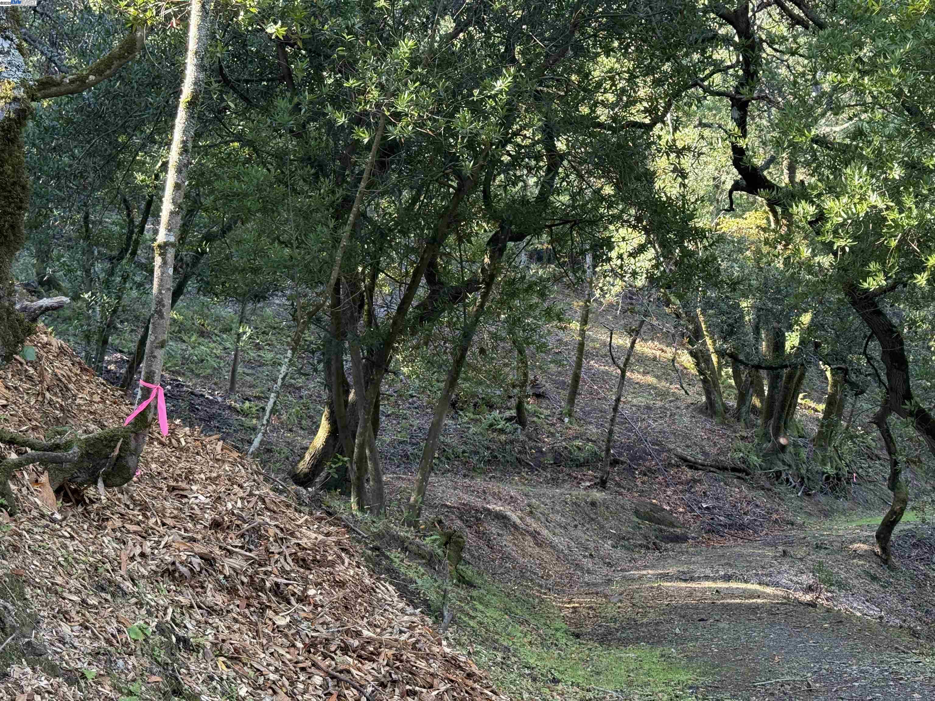 Detail Gallery Image 19 of 40 For 0 Vista Del, Orinda,  CA 94563 - – Beds | – Baths