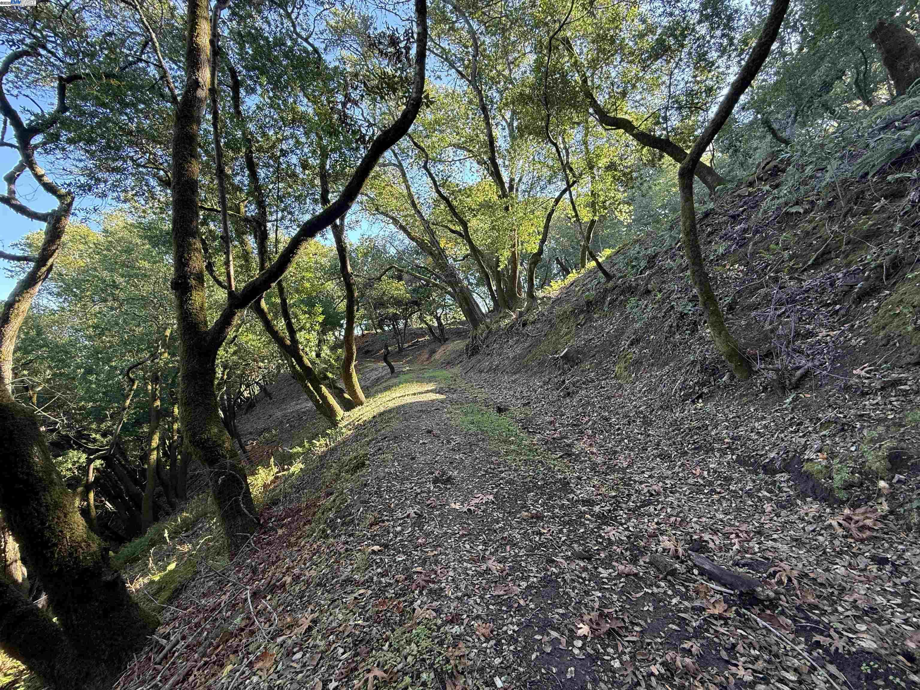 Detail Gallery Image 21 of 40 For 0 Vista Del, Orinda,  CA 94563 - – Beds | – Baths