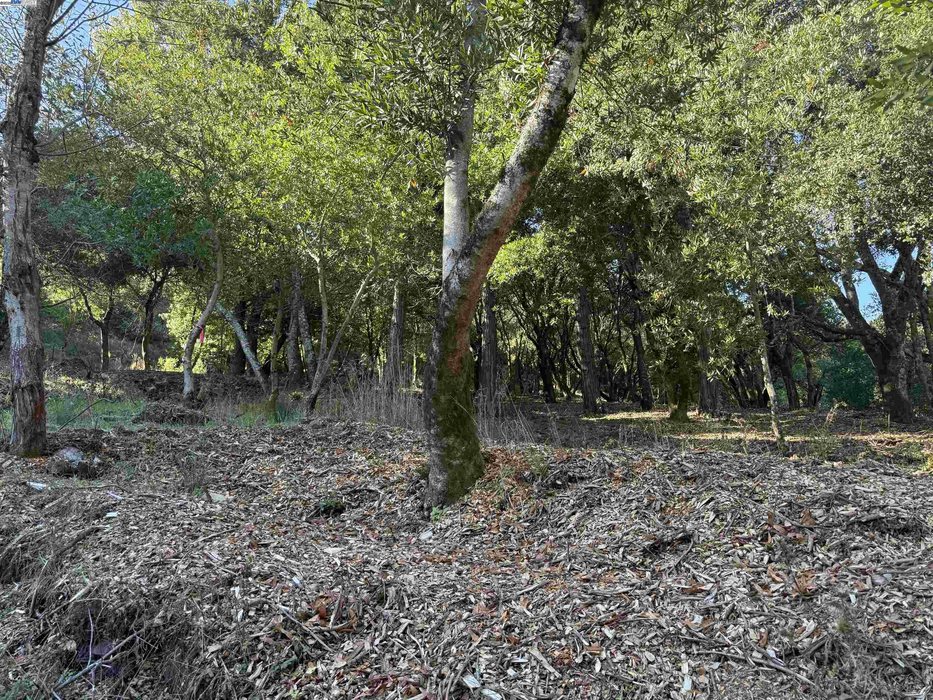 Detail Gallery Image 25 of 40 For 0 Vista Del, Orinda,  CA 94563 - – Beds | – Baths