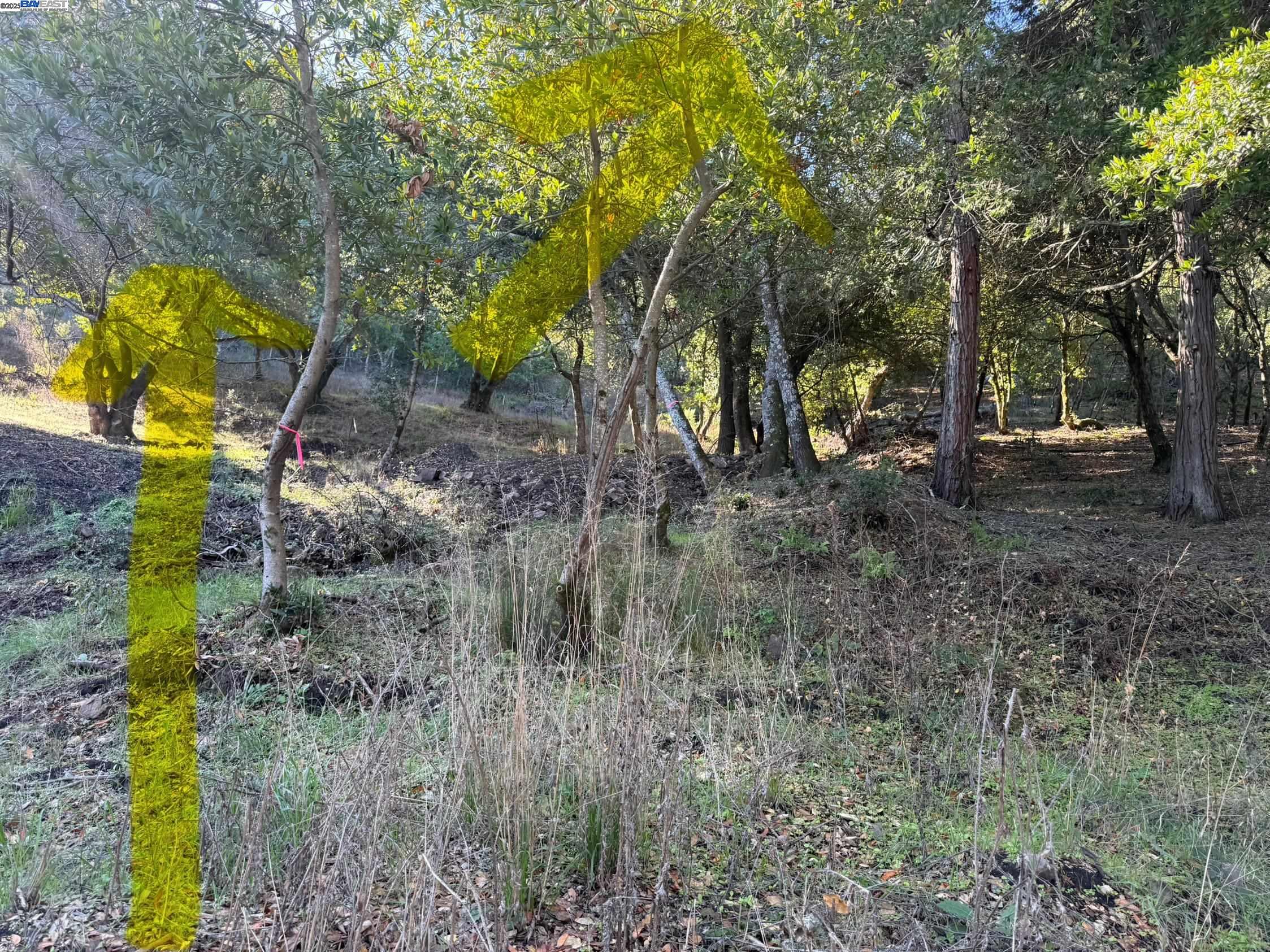 Detail Gallery Image 27 of 40 For 0 Vista Del, Orinda,  CA 94563 - – Beds | – Baths