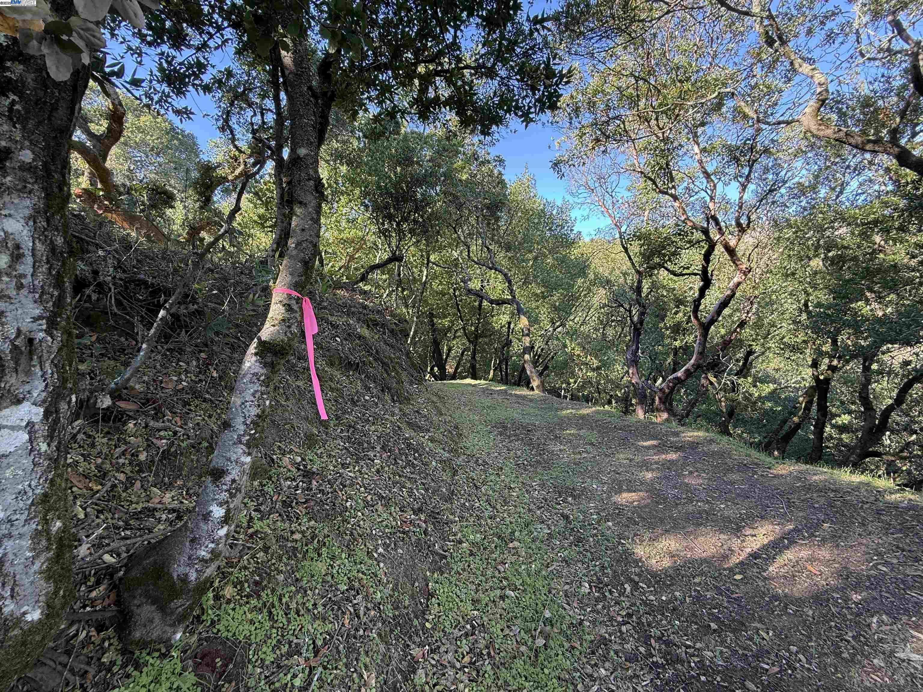 Detail Gallery Image 28 of 40 For 0 Vista Del, Orinda,  CA 94563 - – Beds | – Baths