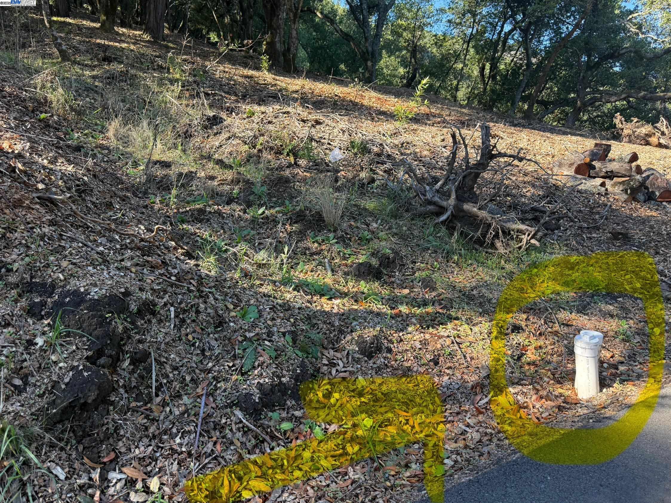 Detail Gallery Image 30 of 40 For 0 Vista Del, Orinda,  CA 94563 - – Beds | – Baths