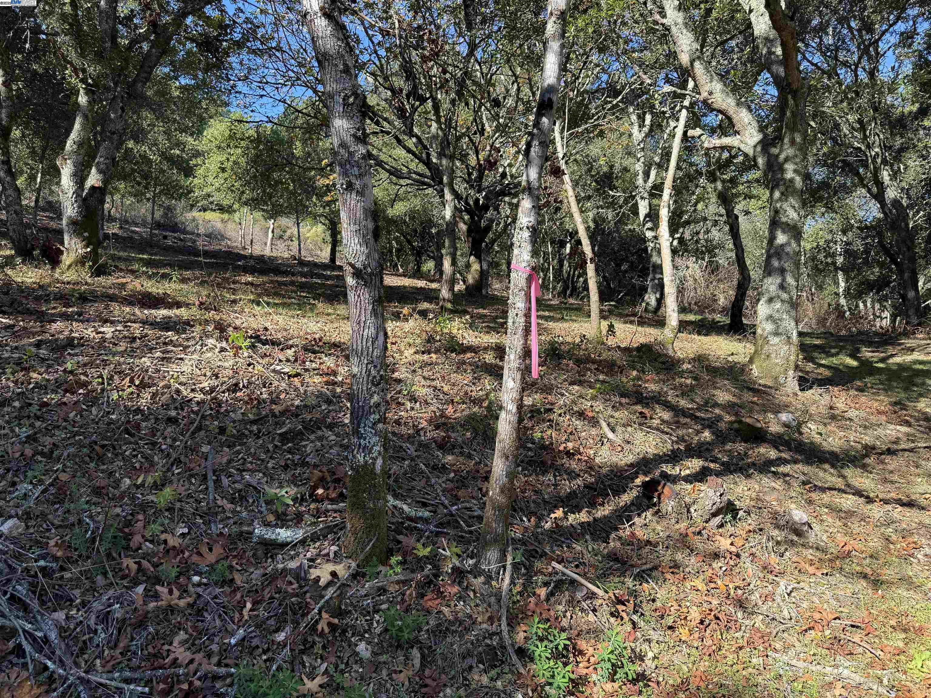 Detail Gallery Image 31 of 40 For 0 Vista Del, Orinda,  CA 94563 - – Beds | – Baths