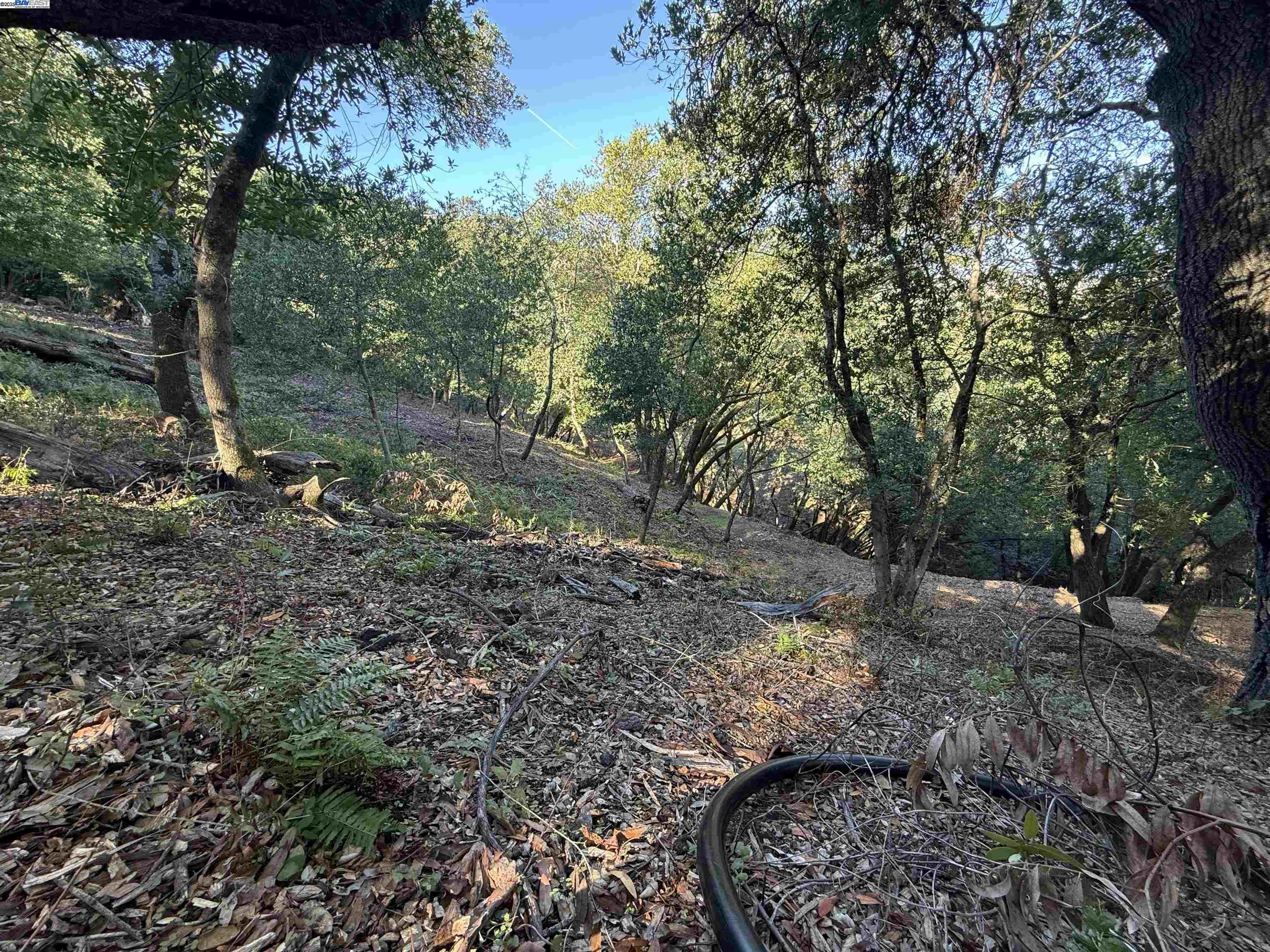 Detail Gallery Image 32 of 40 For 0 Vista Del, Orinda,  CA 94563 - – Beds | – Baths