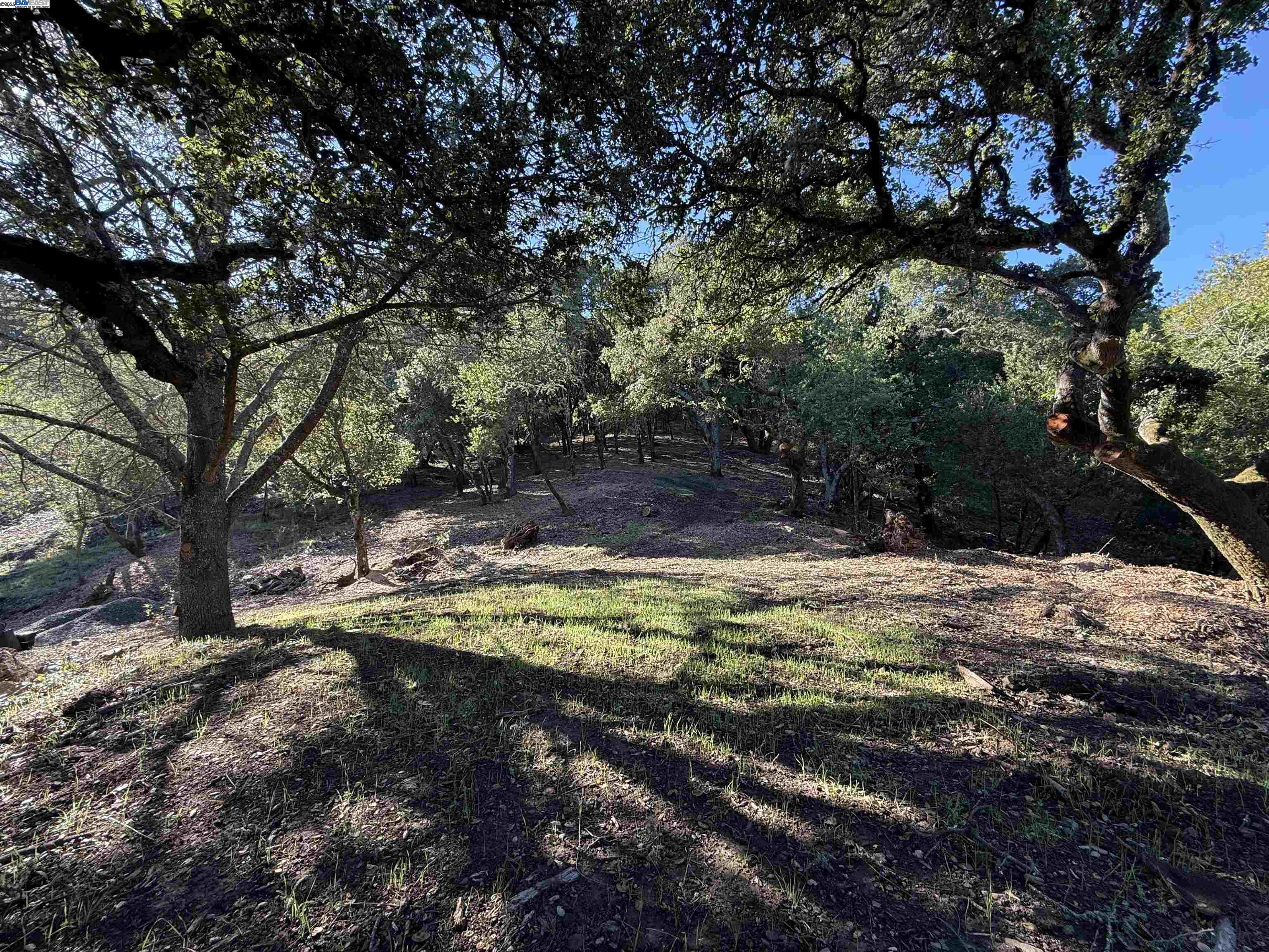 Detail Gallery Image 6 of 40 For 0 Vista Del, Orinda,  CA 94563 - – Beds | – Baths