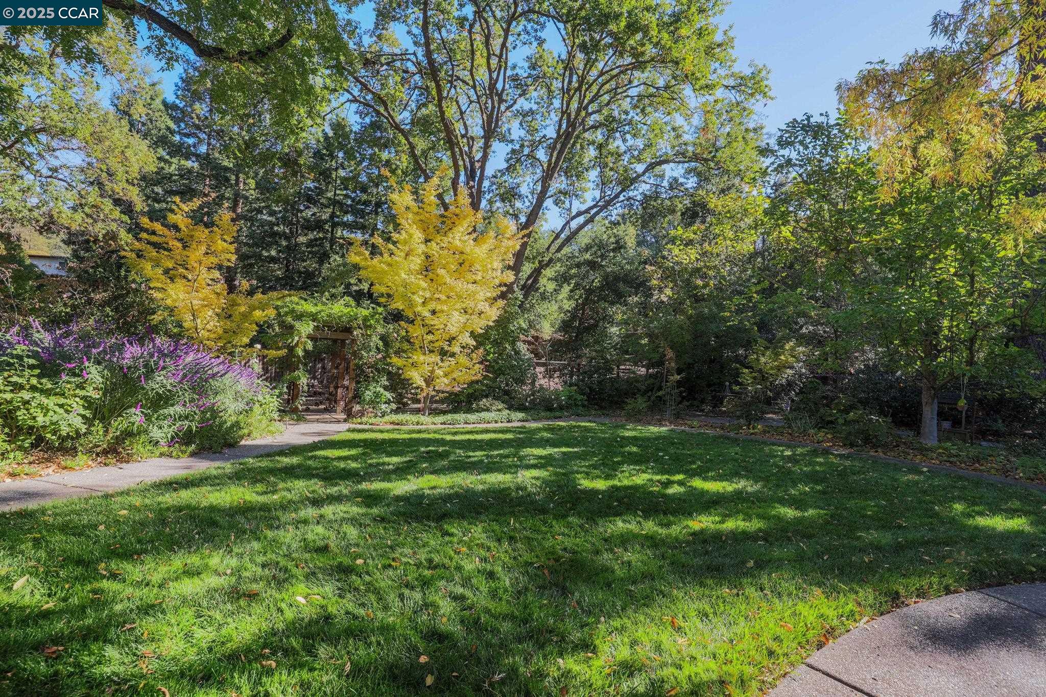 Detail Gallery Image 46 of 56 For 955 Hawthorne Dr, Walnut Creek,  CA 94596 - 4 Beds | 2 Baths