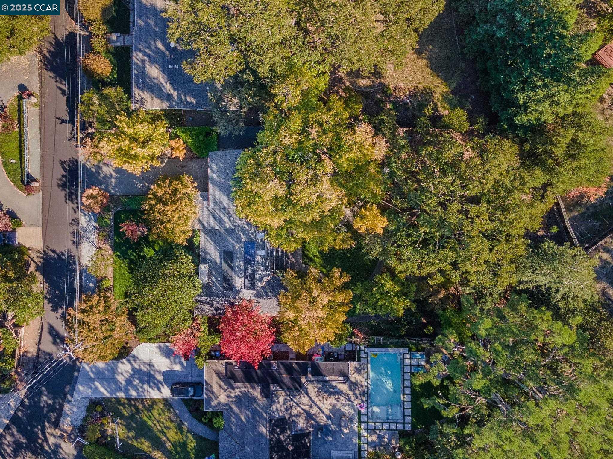 Detail Gallery Image 50 of 56 For 955 Hawthorne Dr, Walnut Creek,  CA 94596 - 4 Beds | 2 Baths