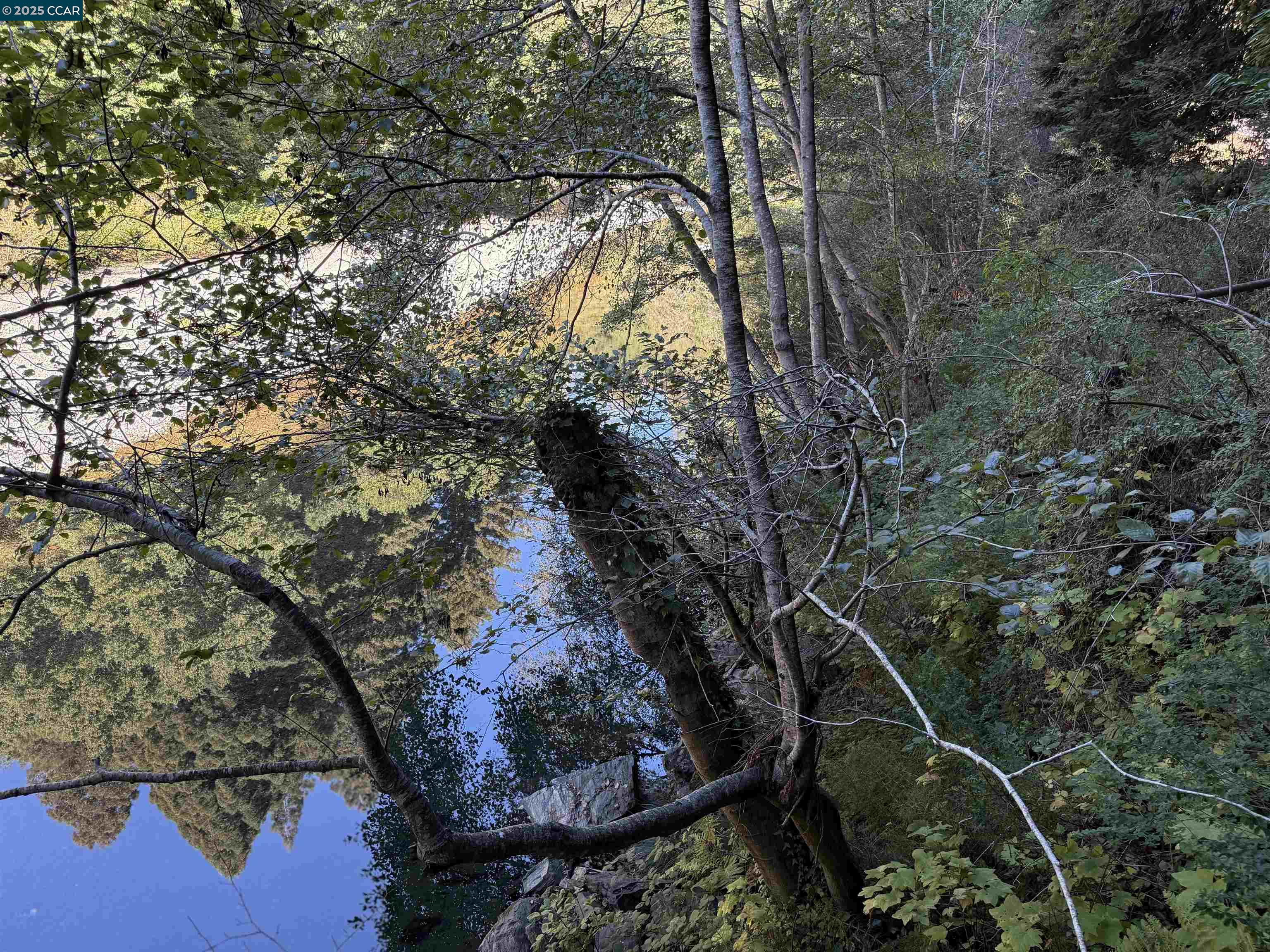 Detail Gallery Image 29 of 38 For 1445 Austin Creek Rd, Cazadero,  CA 95421 - 1 Beds | 1 Baths