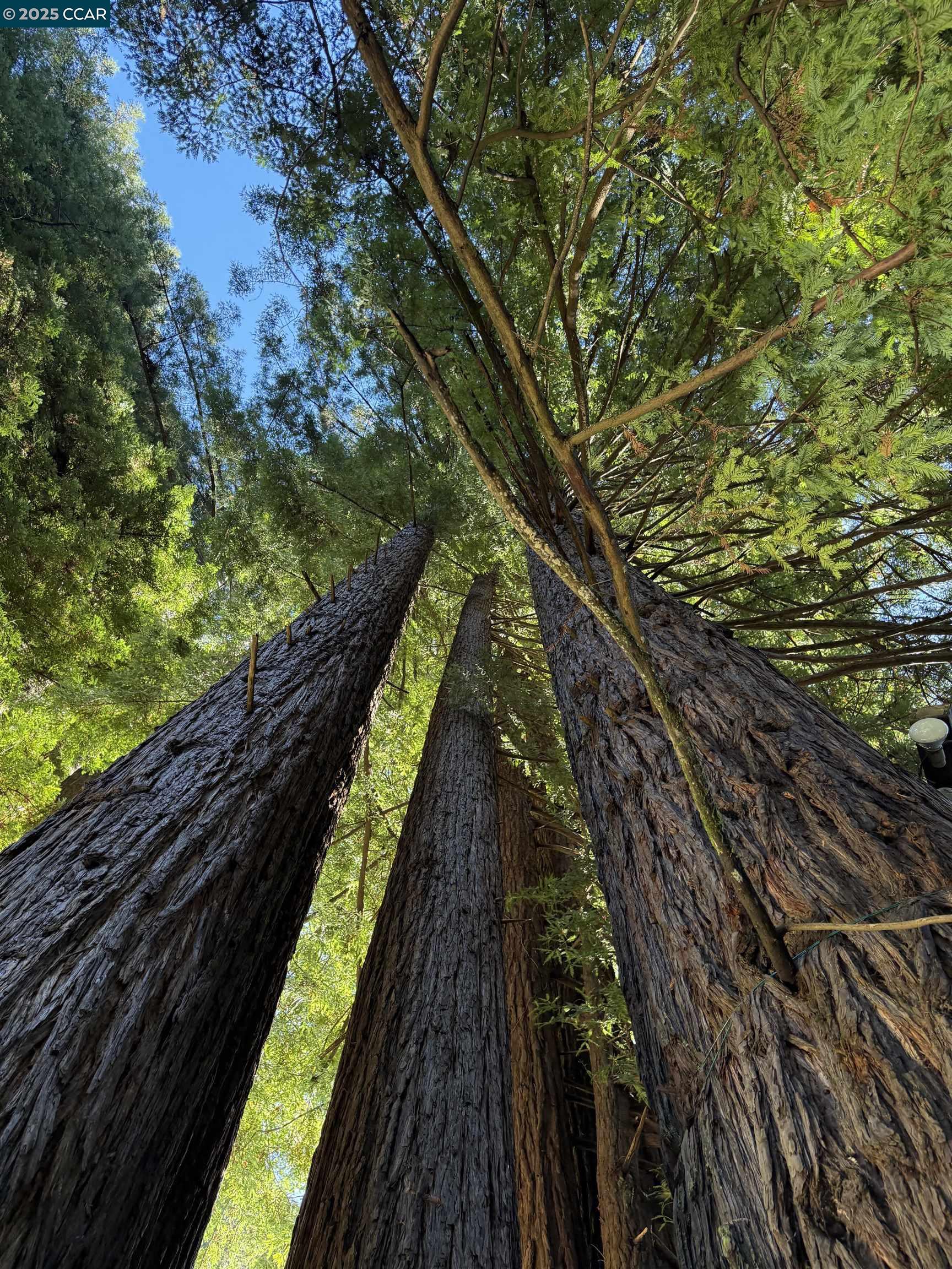 Detail Gallery Image 38 of 38 For 1445 Austin Creek Rd, Cazadero,  CA 95421 - 1 Beds | 1 Baths