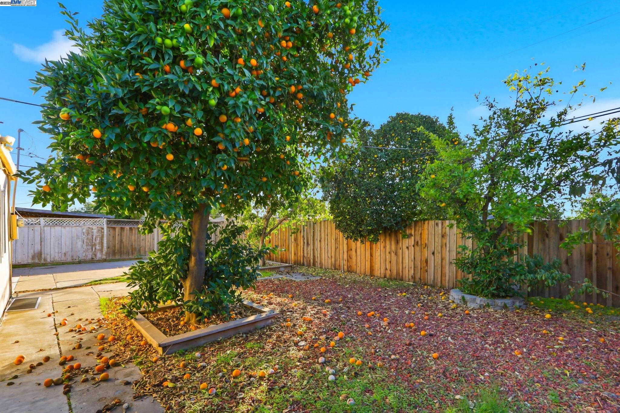 Detail Gallery Image 29 of 30 For 10311 Ryan Street, San Jose,  CA 95127 - 4 Beds | 3 Baths