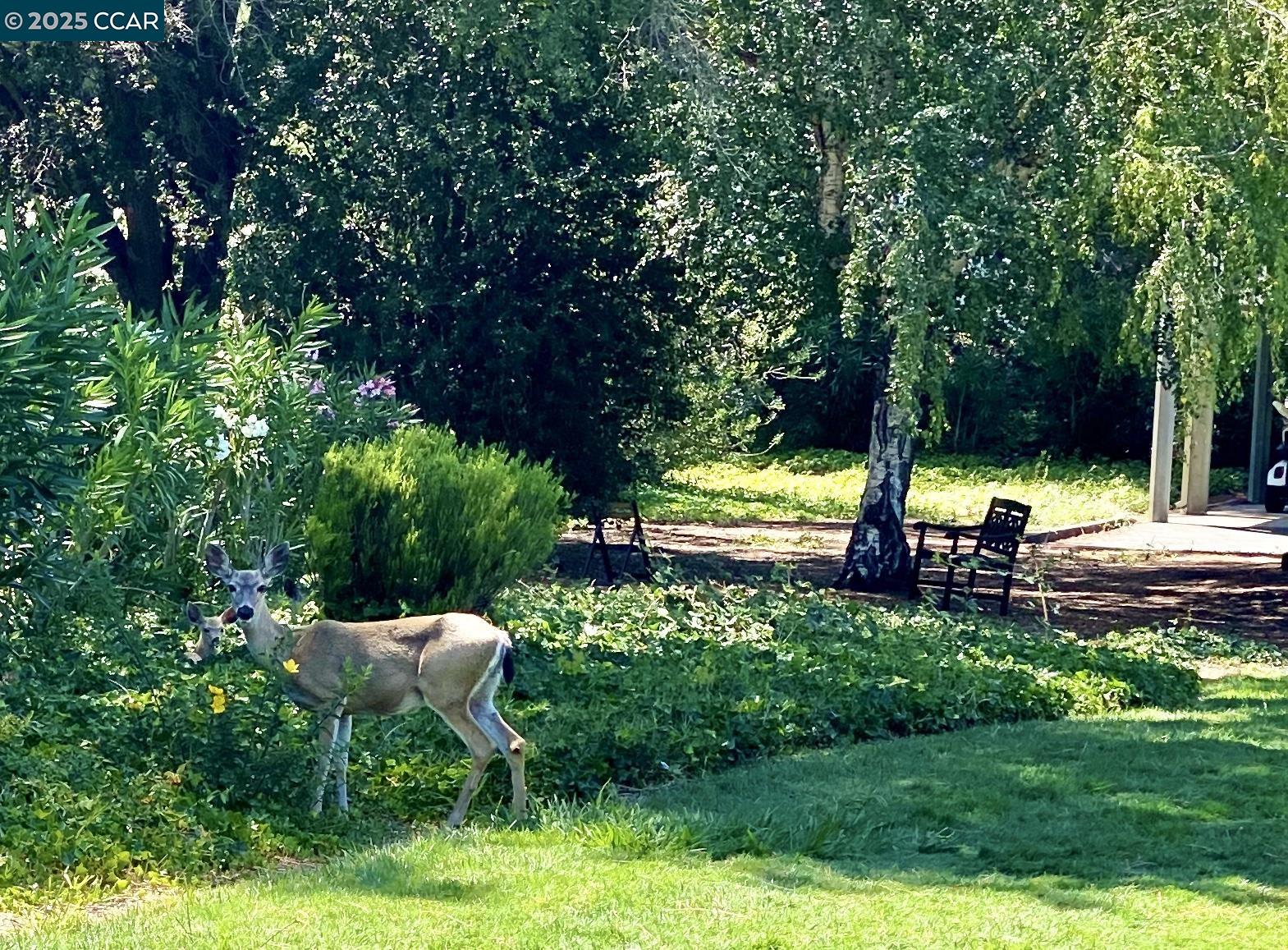 Photo #37: 41116308 Listing: Photo #37