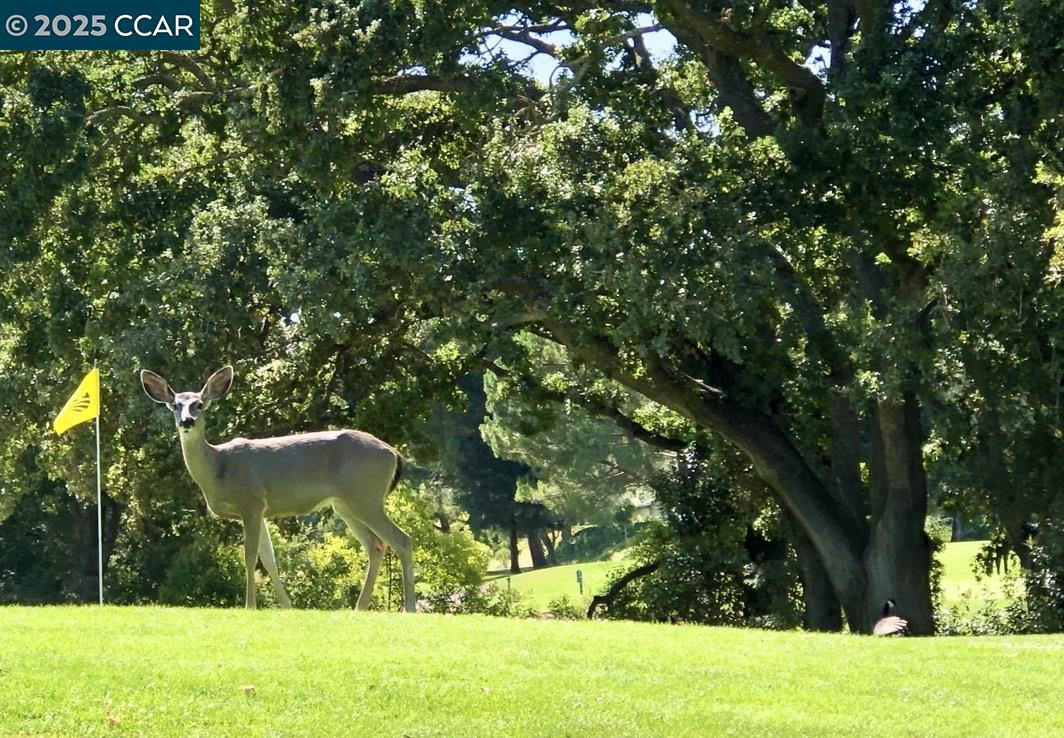 Photo #40: 41116308 Listing: Photo #40