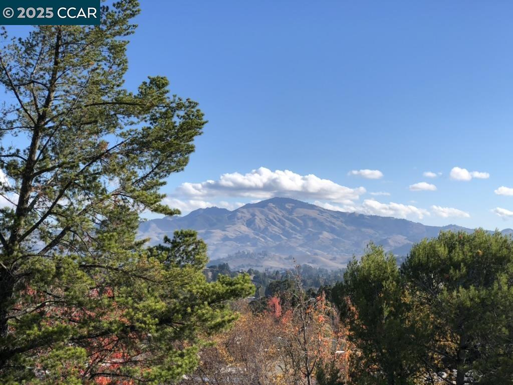 Photo #41: 41116308 Listing: Photo #41