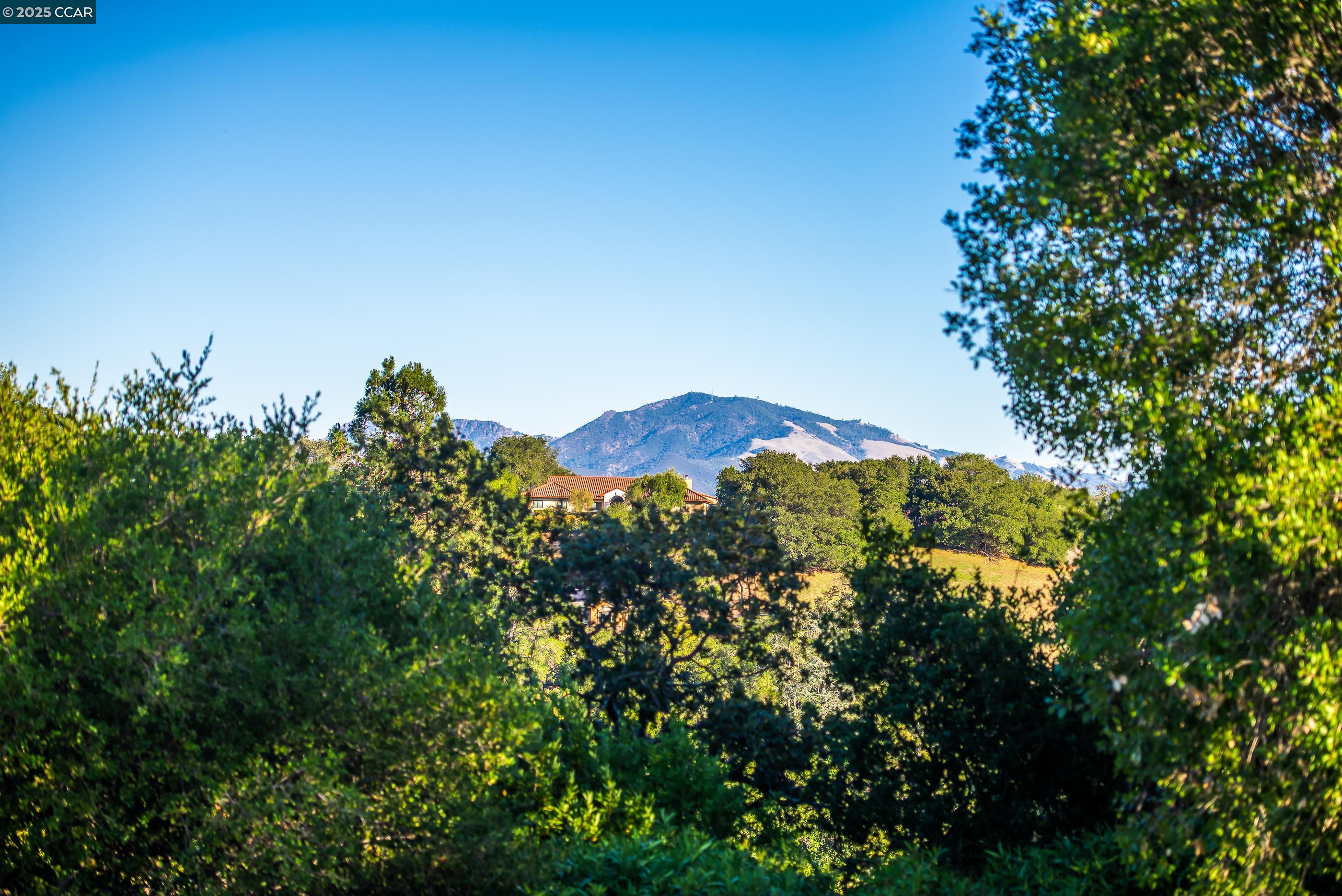 Detail Gallery Image 9 of 47 For 1600 Shangri La Ct., Lafayette,  CA 94549 - 5 Beds | 3 Baths