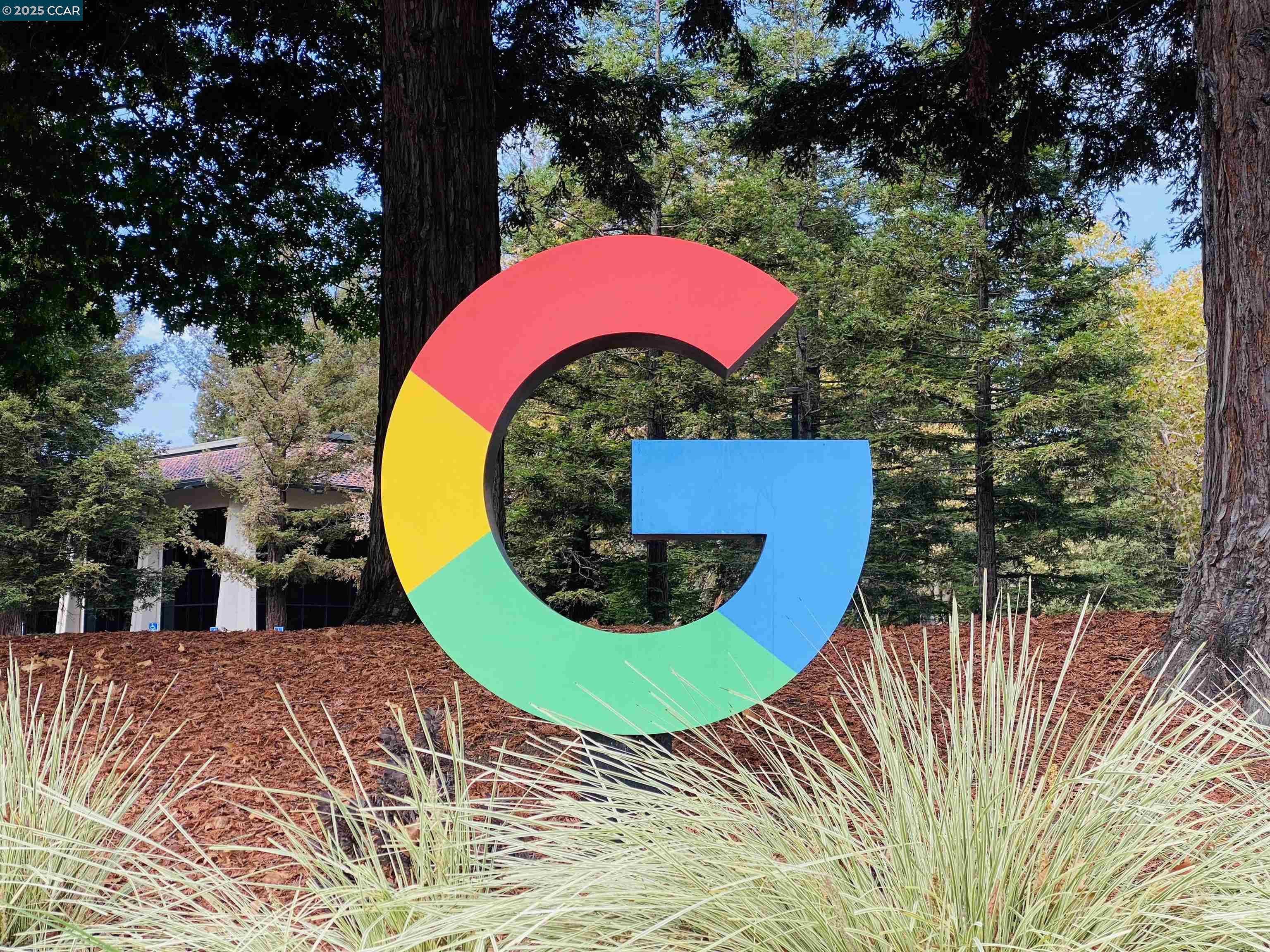 Detail Gallery Image 18 of 39 For 49 Showers #N364,  Mountain View,  CA 94040 - 1 Beds | 1 Baths