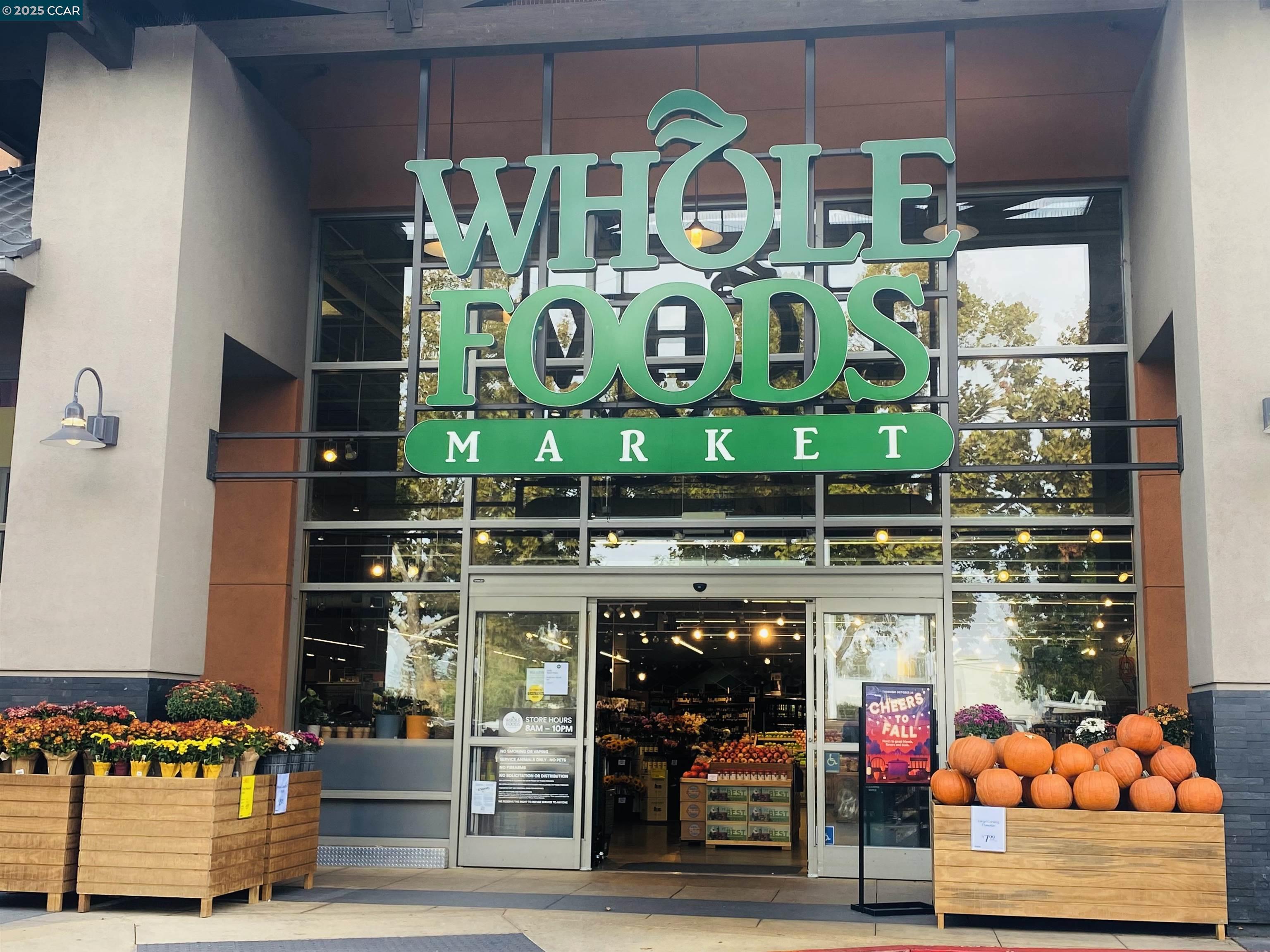 Detail Gallery Image 27 of 39 For 49 Showers #N364,  Mountain View,  CA 94040 - 1 Beds | 1 Baths