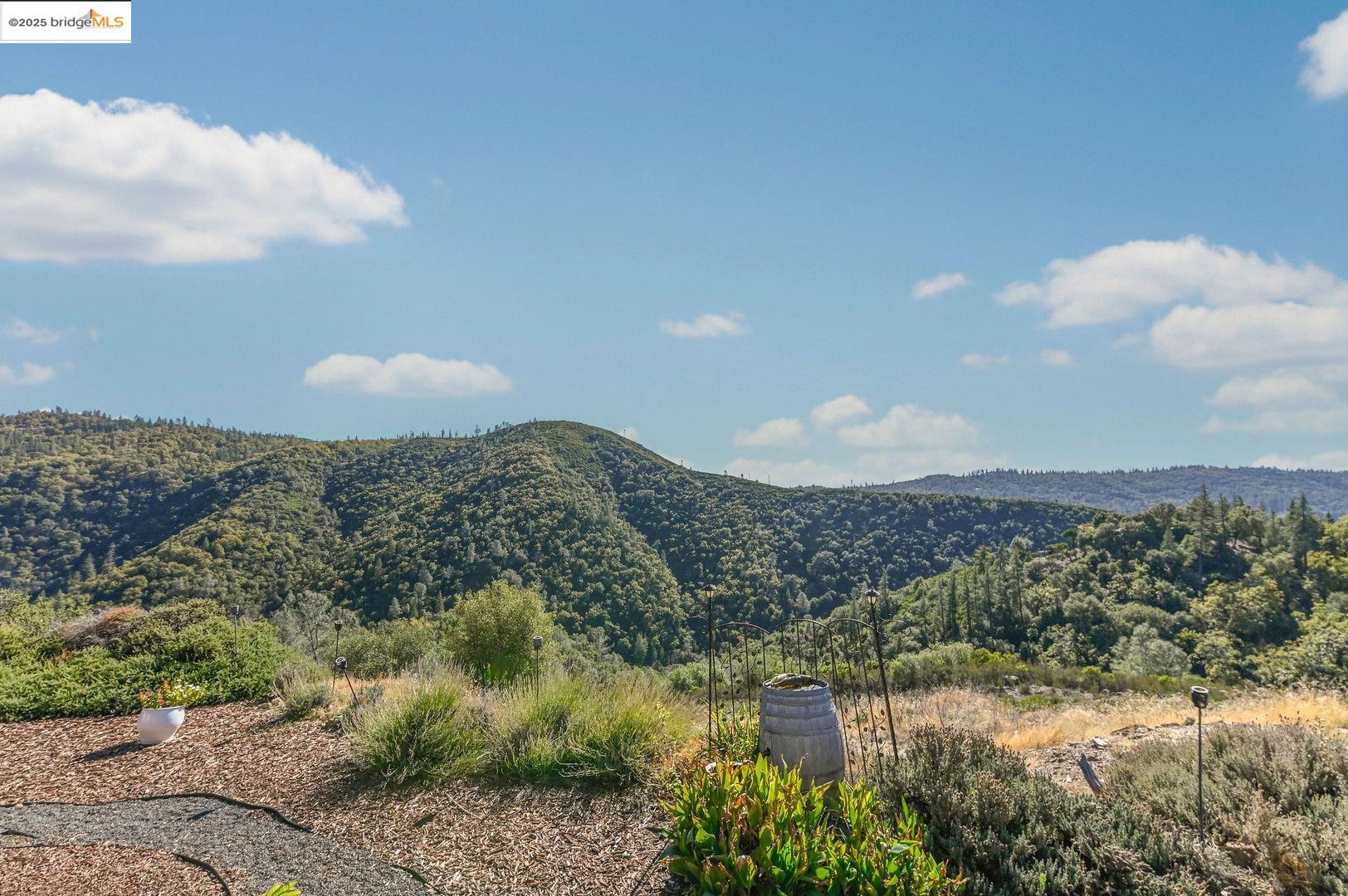 Detail Gallery Image 39 of 60 For 3770 Sheep Ranch Rd, Murphys,  CA 95247 - 4 Beds | 3 Baths