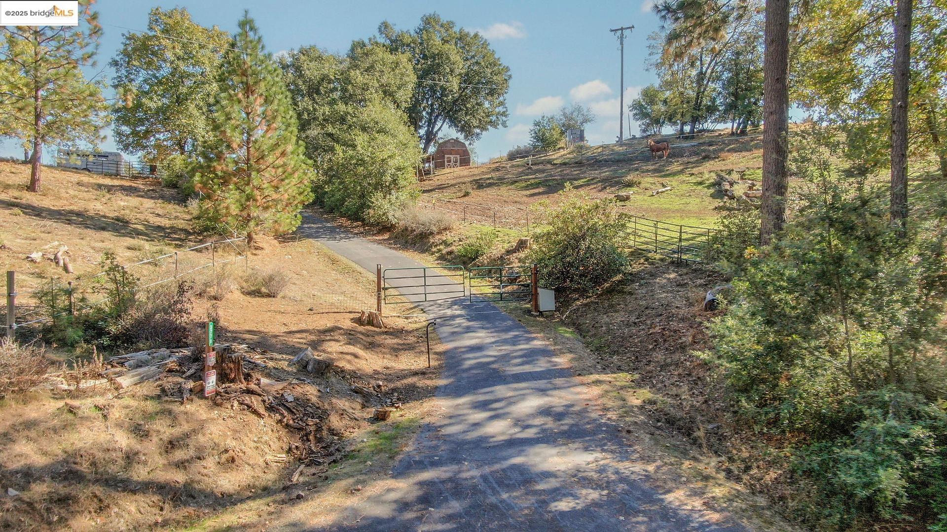 Detail Gallery Image 55 of 60 For 3770 Sheep Ranch Rd, Murphys,  CA 95247 - 4 Beds | 3 Baths