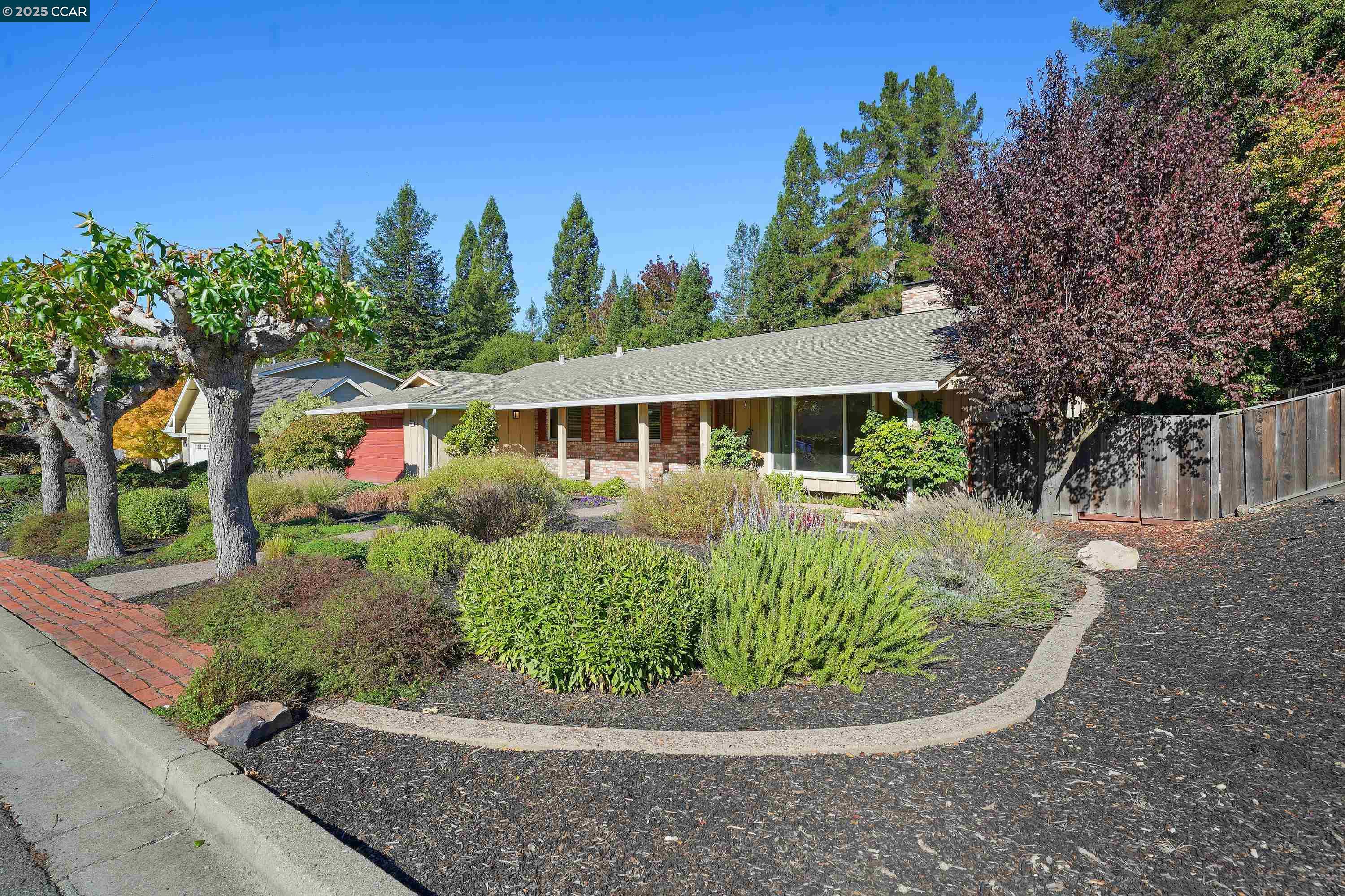 Front Image Thumbnail for CC41116380