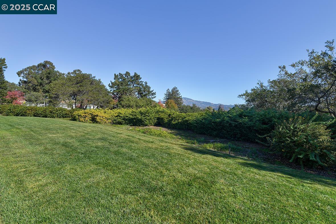 Detail Gallery Image 12 of 58 For 2409 Golden Rain Rd. #6,  Walnut Creek,  CA 94595 - 2 Beds | 1 Baths