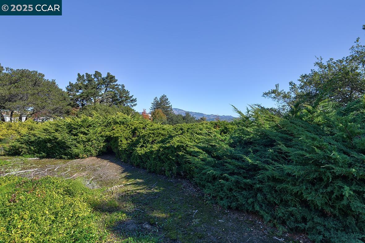 Detail Gallery Image 13 of 58 For 2409 Golden Rain Rd. #6,  Walnut Creek,  CA 94595 - 2 Beds | 1 Baths