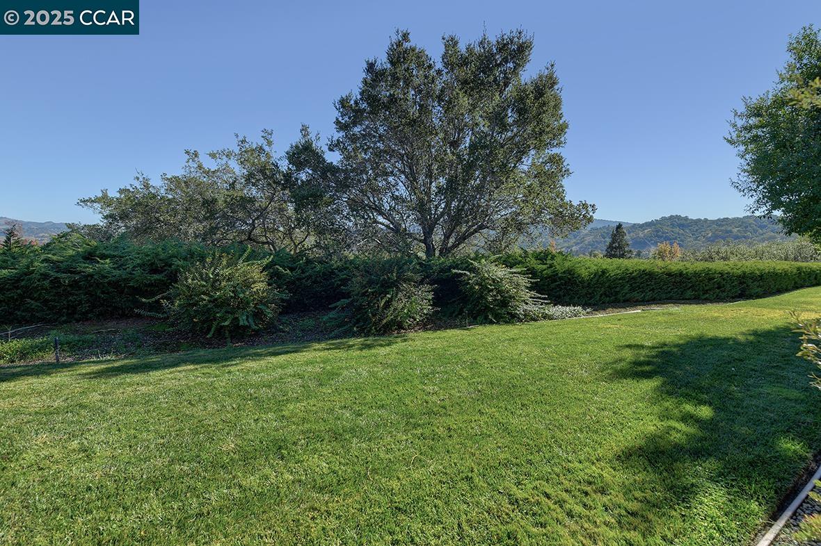 Detail Gallery Image 14 of 58 For 2409 Golden Rain Rd. #6,  Walnut Creek,  CA 94595 - 2 Beds | 1 Baths