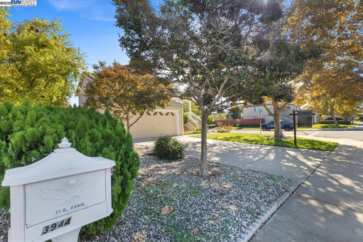 Detail Gallery Image 43 of 45 For 3944 Oak Grove Drive, Oakley,  CA 94561 - 4 Beds | 2/1 Baths