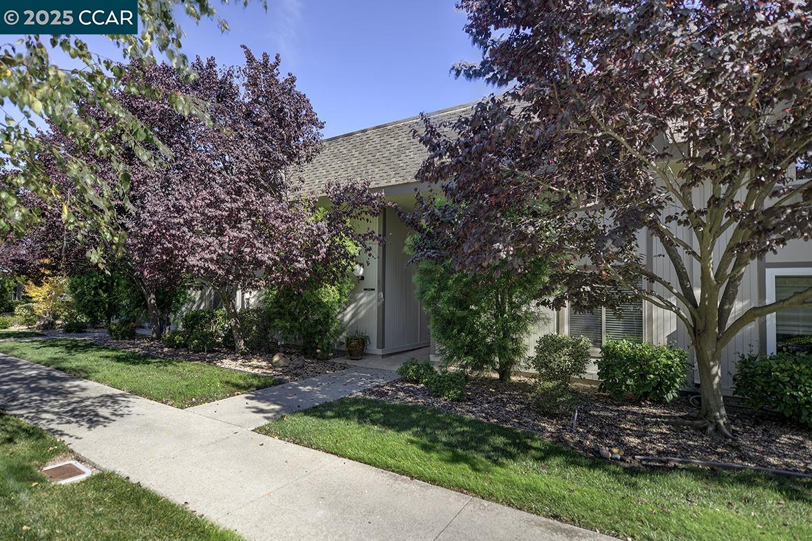 Detail Gallery Image 44 of 58 For 2001 Skycrest Dr #4,  Walnut Creek,  CA 94595 - 3 Beds | 2/1 Baths