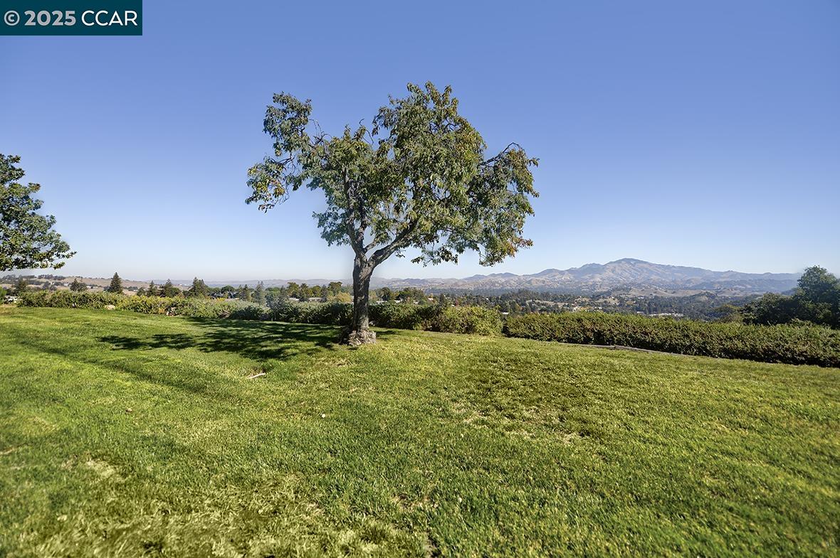 Detail Gallery Image 10 of 58 For 2001 Skycrest Dr #4,  Walnut Creek,  CA 94595 - 3 Beds | 2/1 Baths