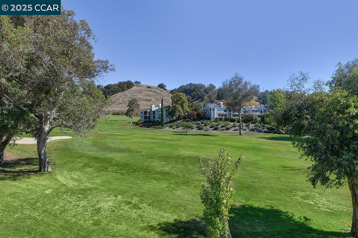 Front Image Thumbnail for CC41116474