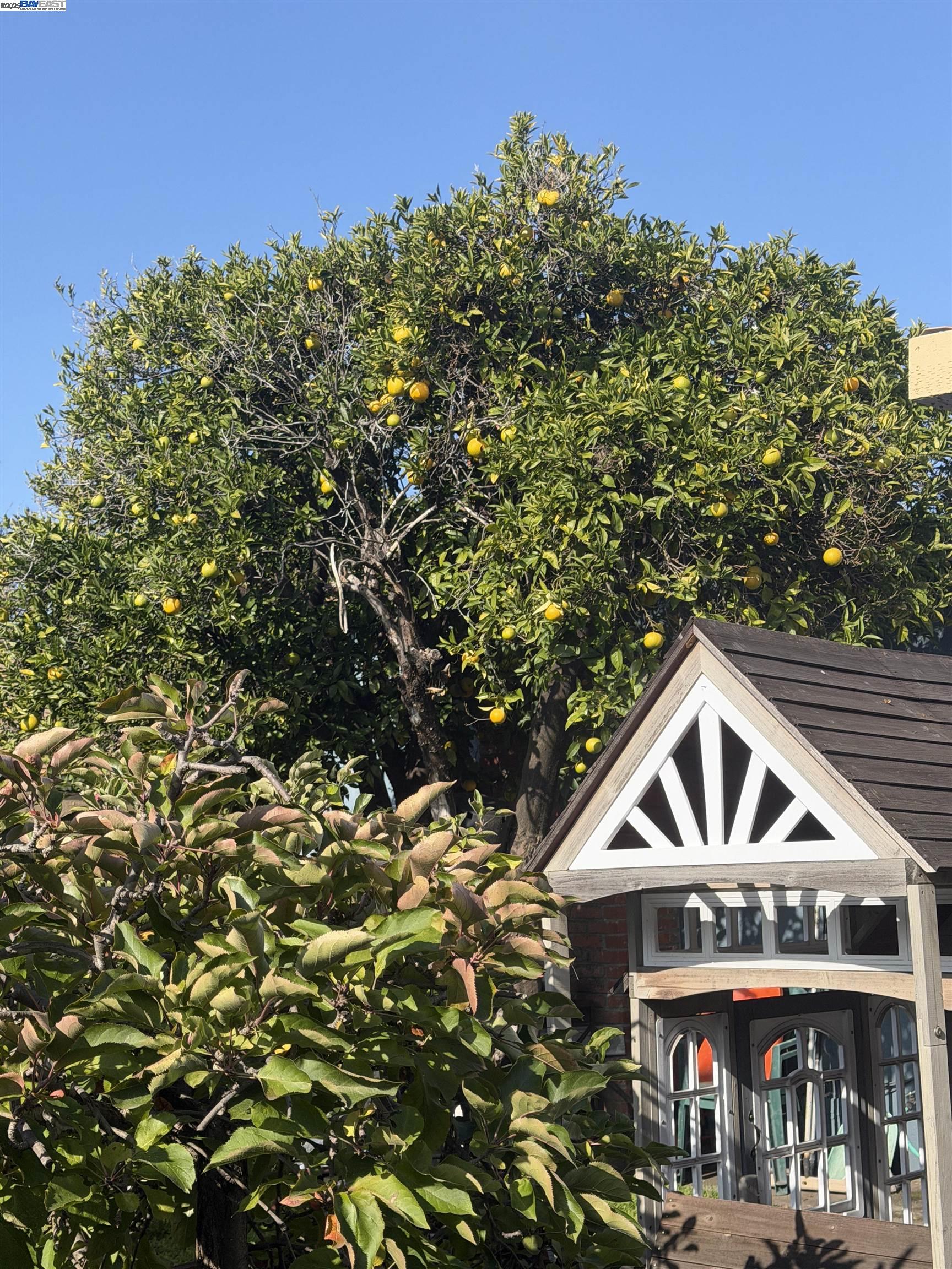 Detail Gallery Image 24 of 24 For 963 Dillo St, San Leandro,  CA 94578 - 3 Beds | 2 Baths