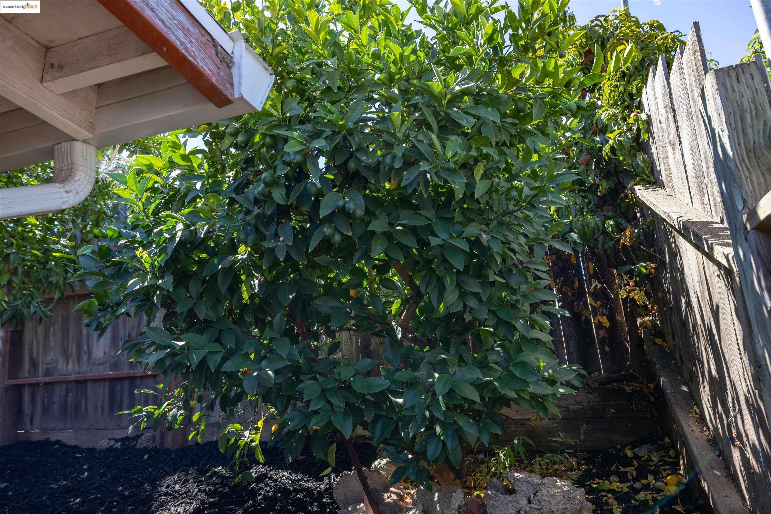 Detail Gallery Image 6 of 59 For 1813 Hanlon Way, Pittsburg,  CA 94565 - 4 Beds | 1/1 Baths