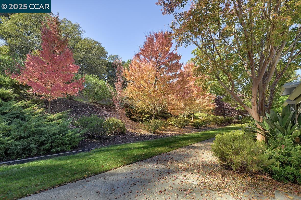 Detail Gallery Image 28 of 45 For 1137 Stanley Dollar Dr #5,  Walnut Creek,  CA 94595 - 2 Beds | 1 Baths