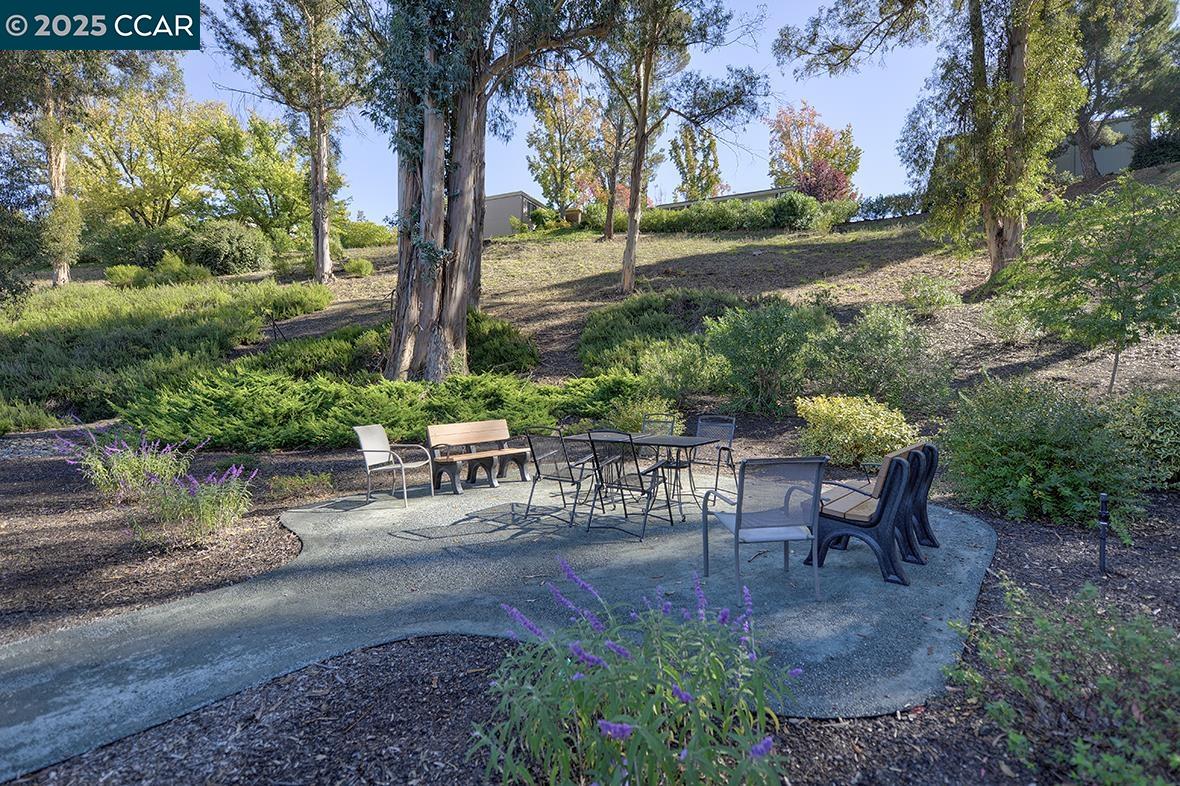 Detail Gallery Image 31 of 45 For 1137 Stanley Dollar Dr #5,  Walnut Creek,  CA 94595 - 2 Beds | 1 Baths