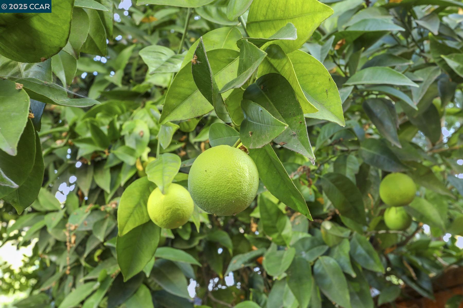 Detail Gallery Image 26 of 33 For 1646 Old Bridge Way, Stockton,  CA 95204 - 3 Beds | 2/1 Baths