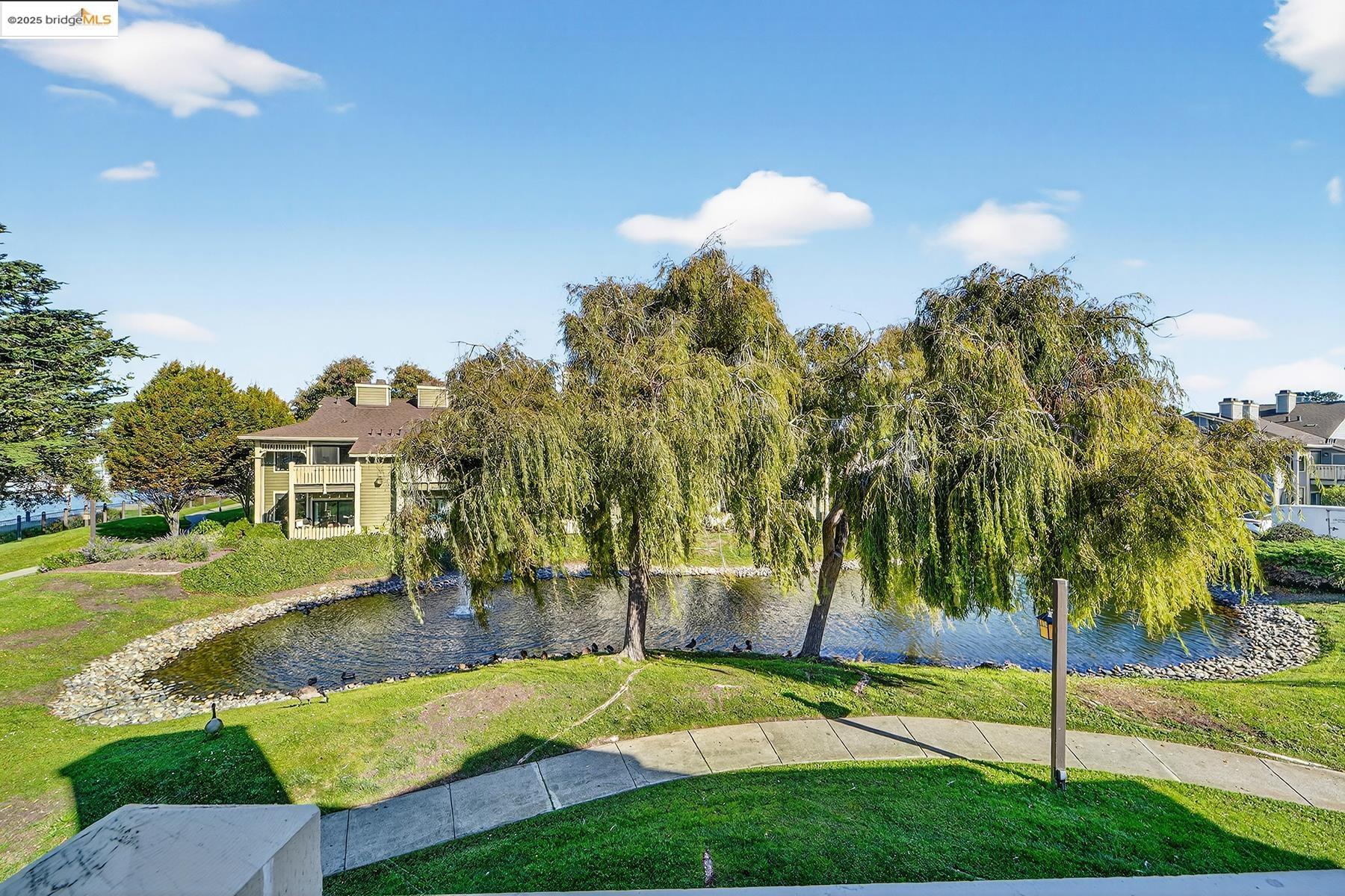 Photo #29: 41116547 Listing: Photo #29