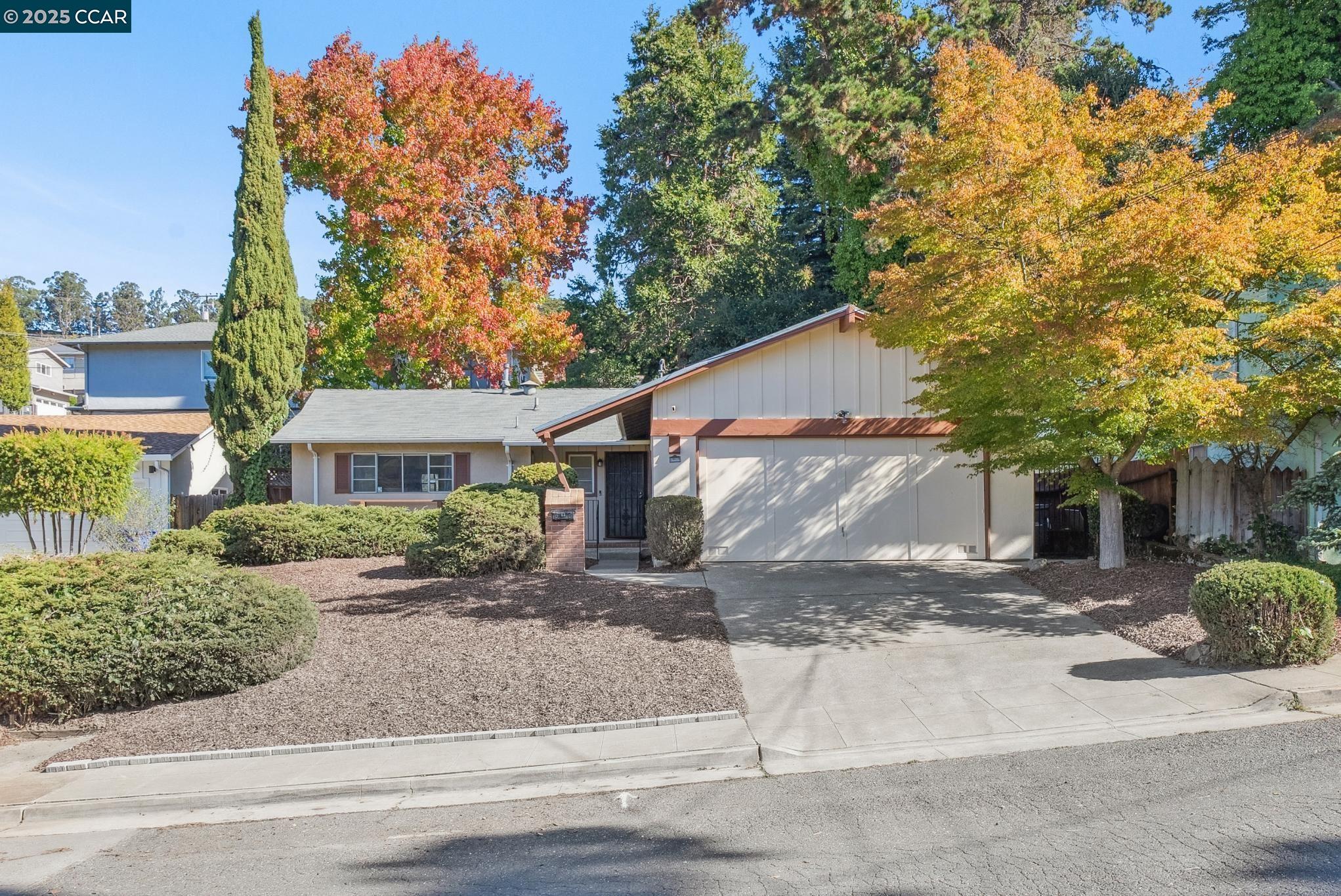 Front Image Thumbnail for CC41116568