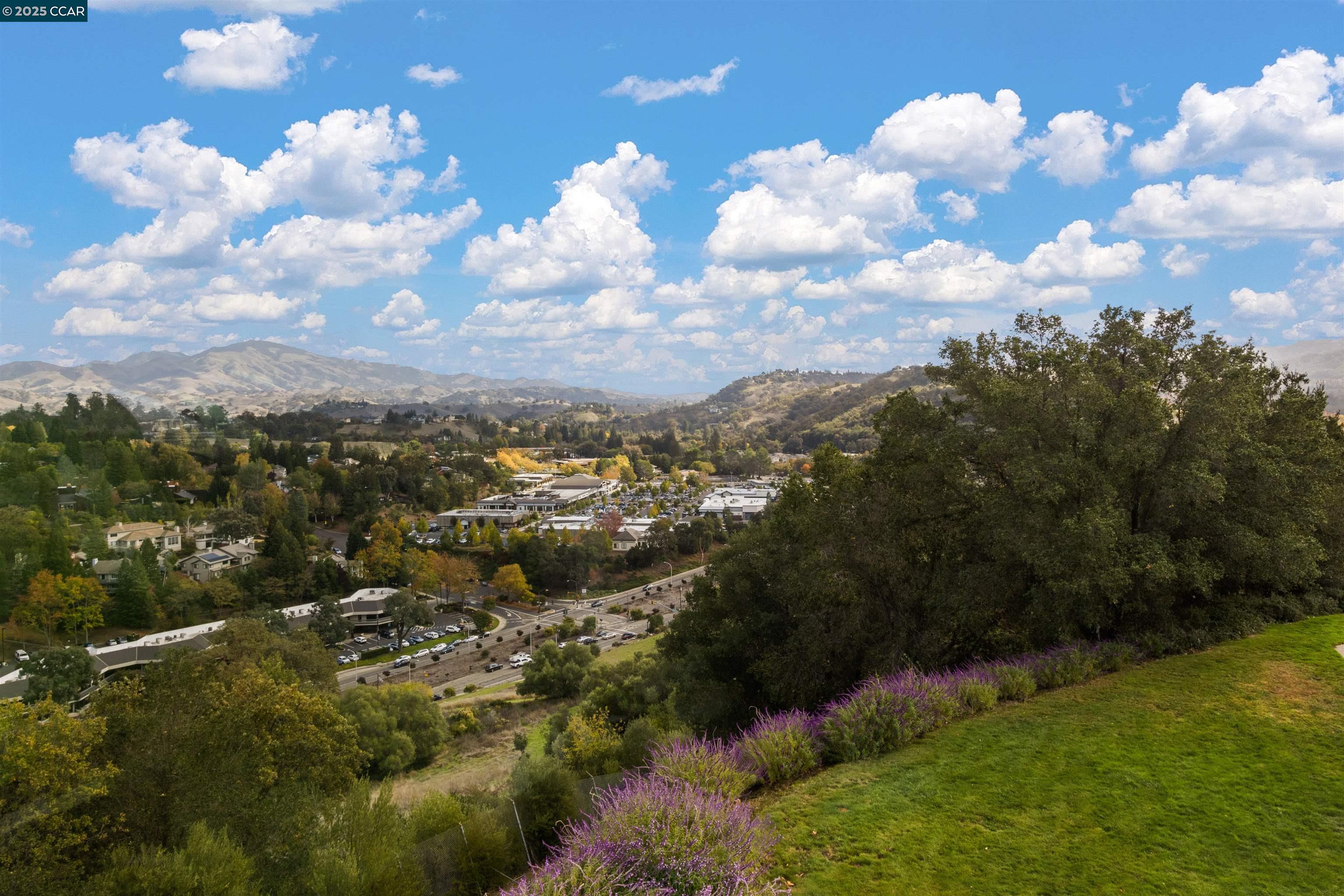 Photo #2: 41116582 Listing: Photo #2