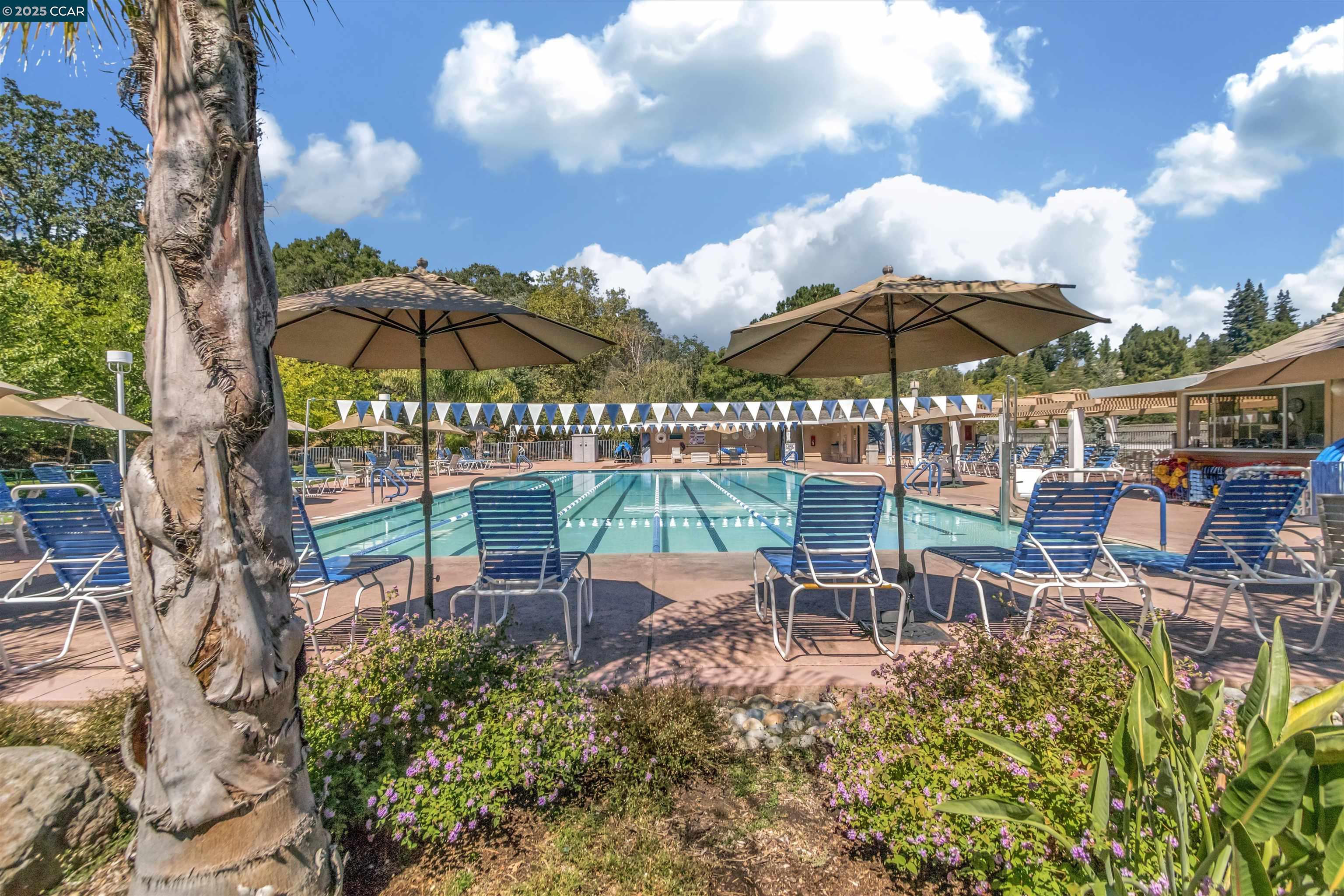 Photo #47: 41116582 Listing: Photo #47