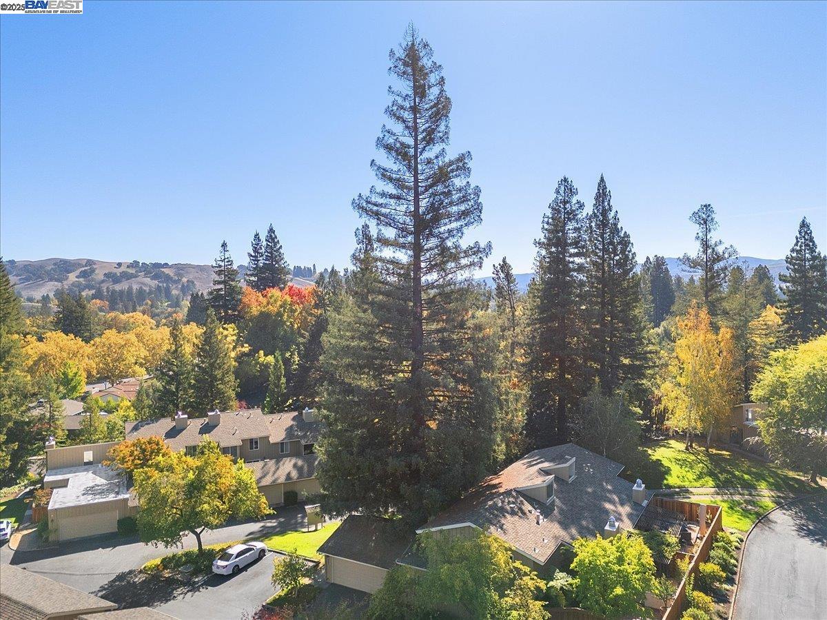 Detail Gallery Image 41 of 60 For 441 Sycamore Hill Dr, Danville,  CA 94526 - 3 Beds | 2/1 Baths