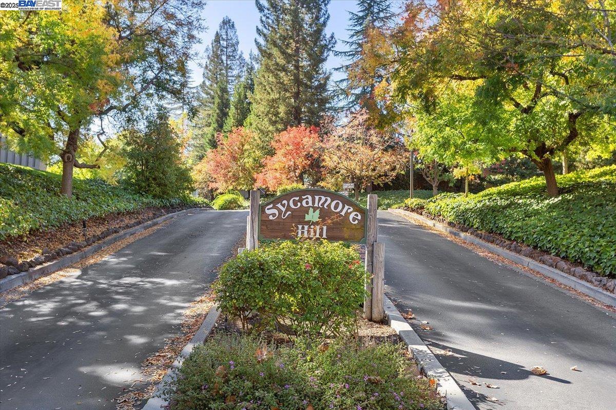 Detail Gallery Image 45 of 60 For 441 Sycamore Hill Dr, Danville,  CA 94526 - 3 Beds | 2/1 Baths