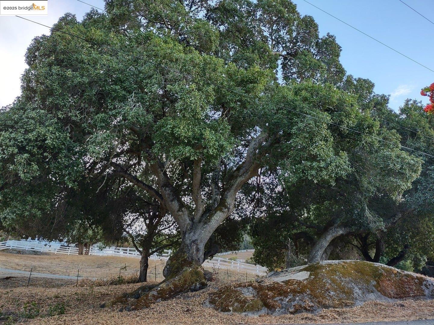Detail Gallery Image 3 of 30 For 9375 Watsonville Rd, Gilroy,  CA 95020 - 2 Beds | 2 Baths