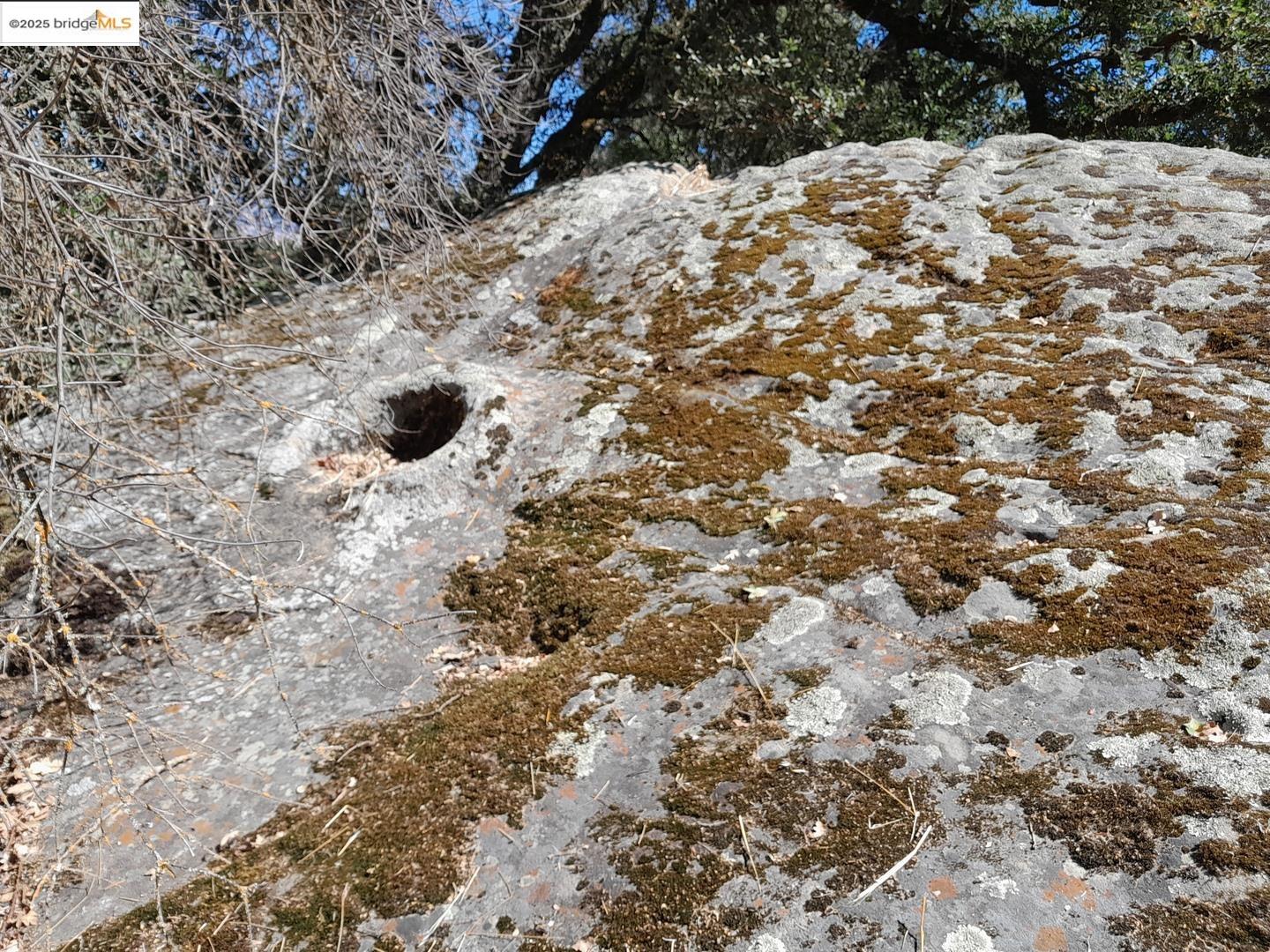 Detail Gallery Image 24 of 30 For 9375 Watsonville Rd, Gilroy,  CA 95020 - 2 Beds | 2 Baths