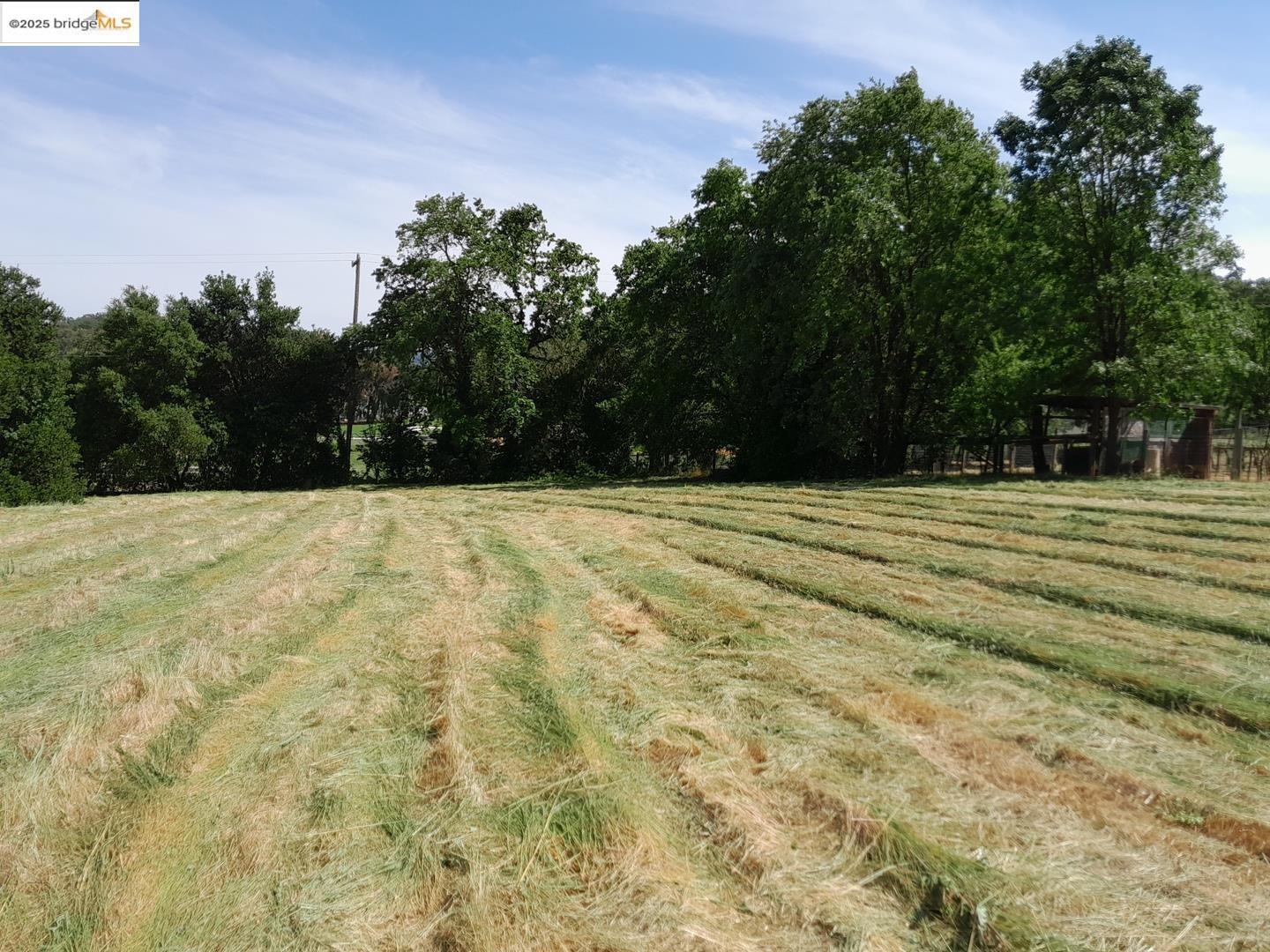 Detail Gallery Image 27 of 30 For 9375 Watsonville Rd, Gilroy,  CA 95020 - 2 Beds | 2 Baths