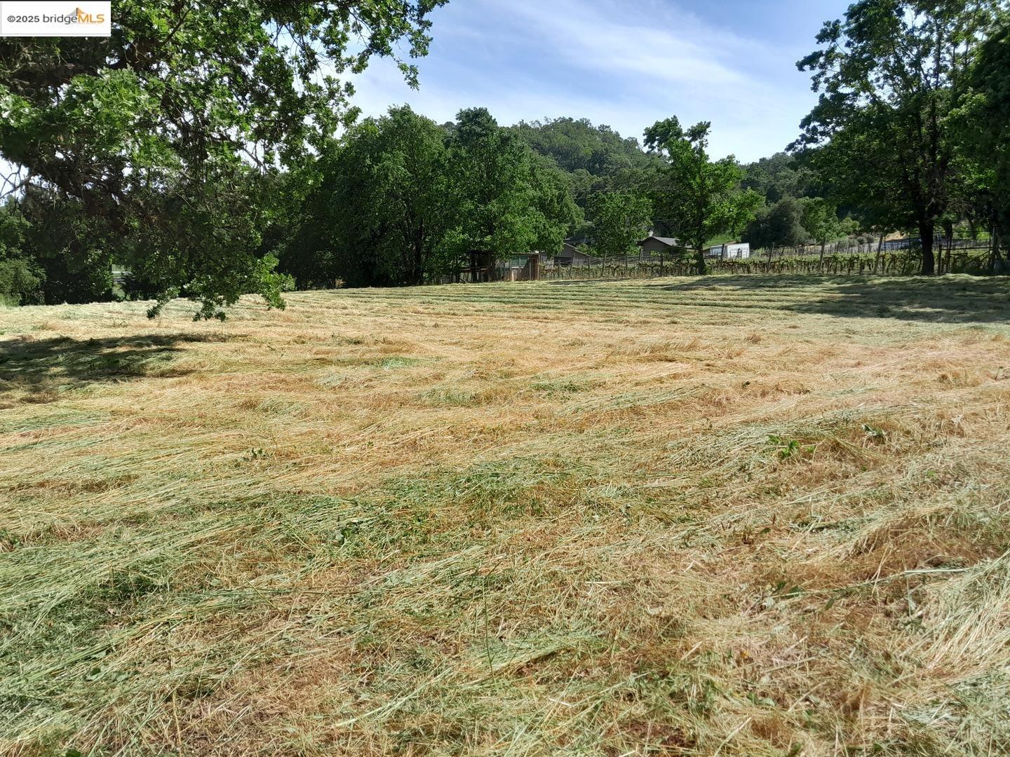 Detail Gallery Image 28 of 30 For 9375 Watsonville Rd, Gilroy,  CA 95020 - 2 Beds | 2 Baths