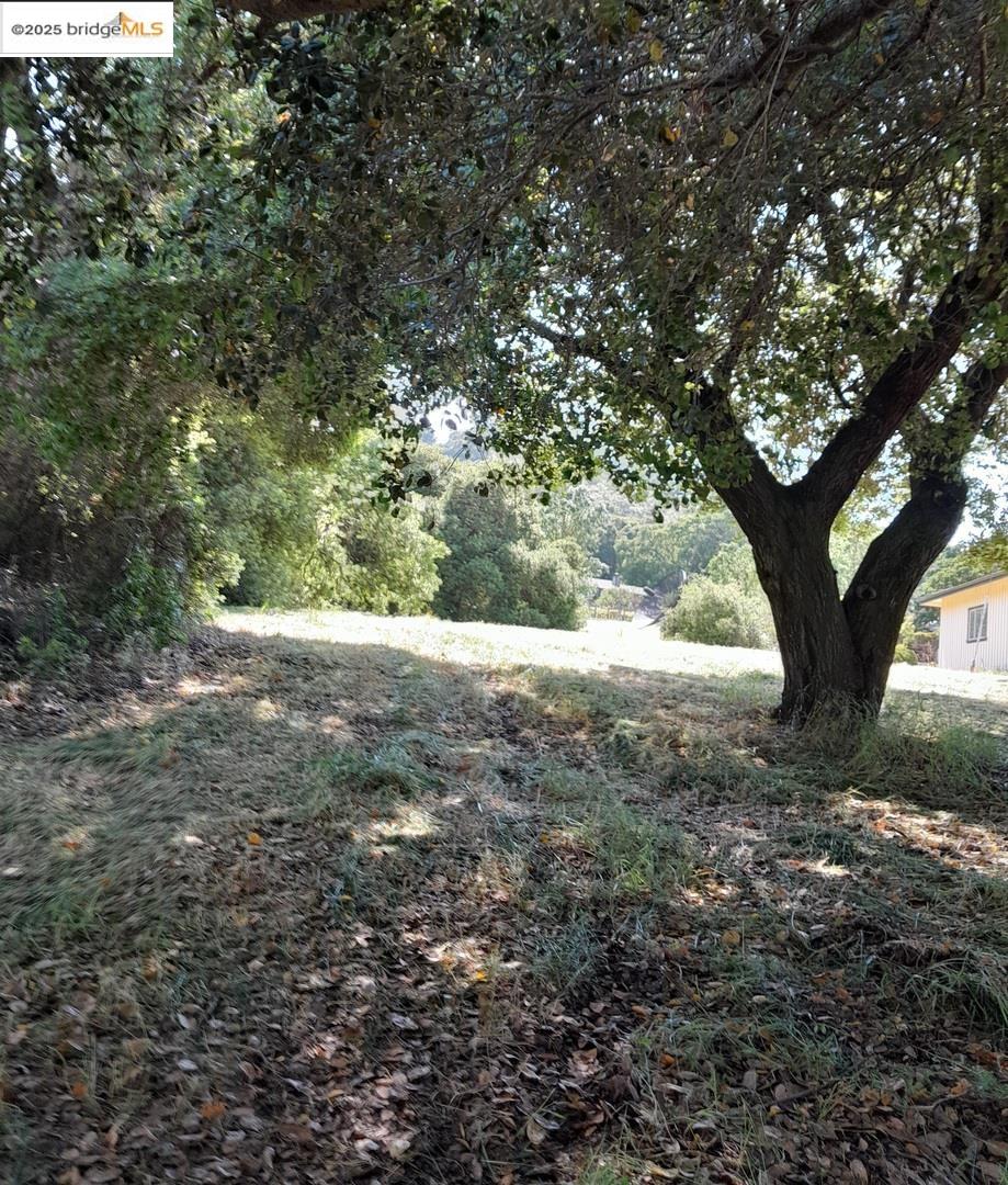 Detail Gallery Image 6 of 30 For 9375 Watsonville Rd, Gilroy,  CA 95020 - 2 Beds | 2 Baths