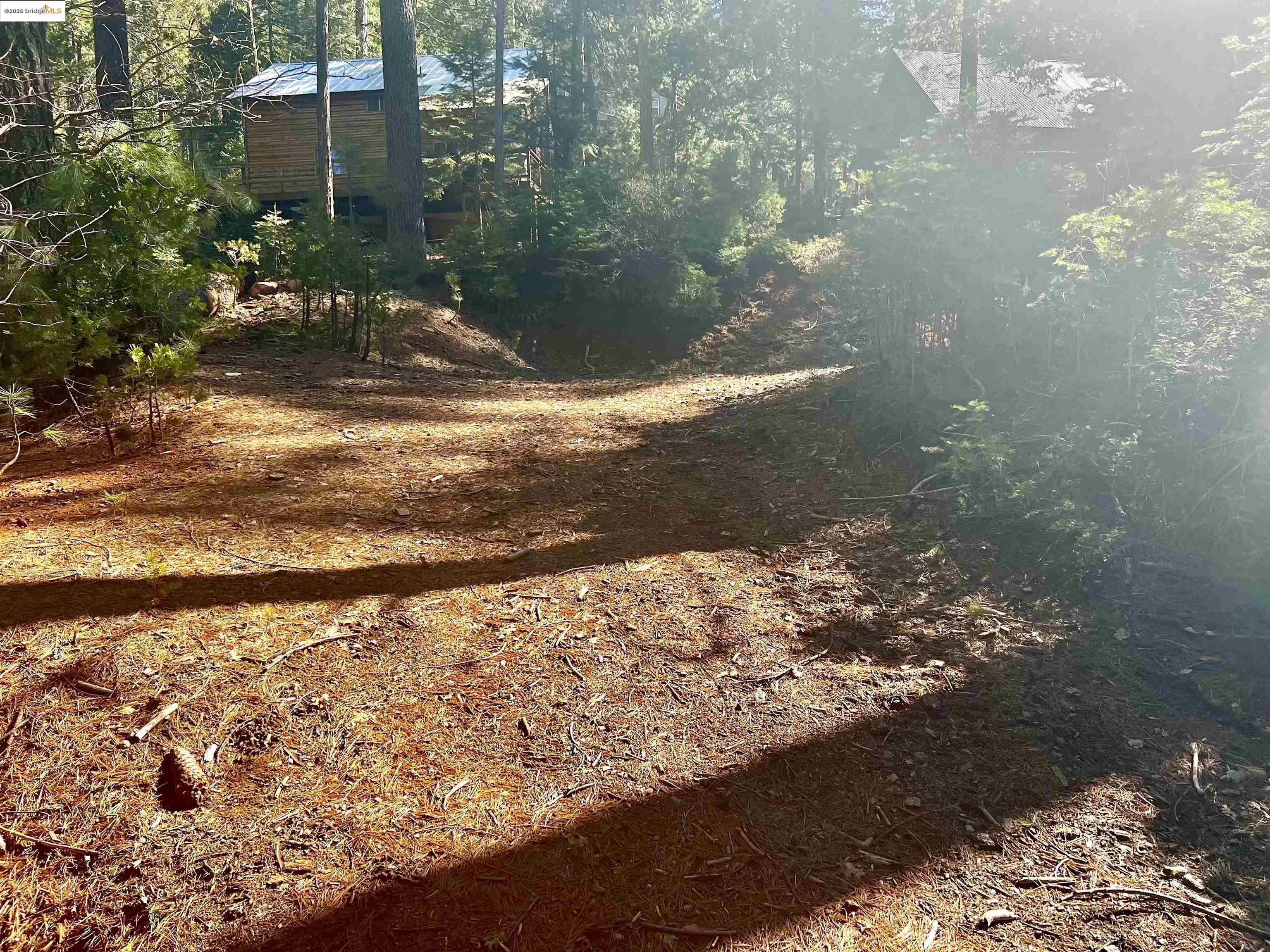 Front Image Thumbnail for EB41116649