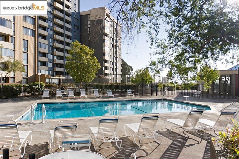 Detail Gallery Image 3 of 34 For 555 Pierce St #226,  Albany,  CA 94706 - 1 Beds | 1 Baths